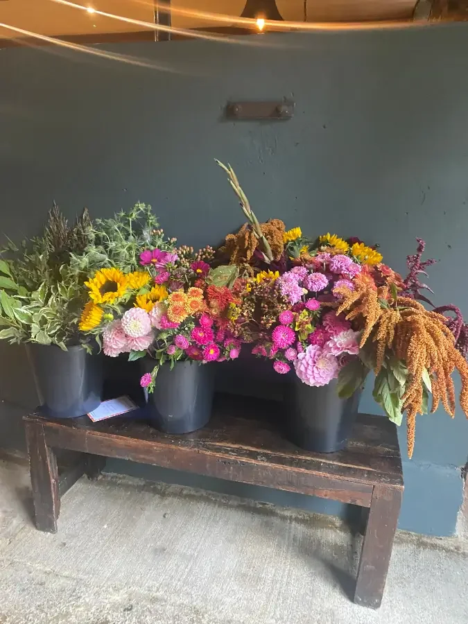  Four buckets of colourful flowers 