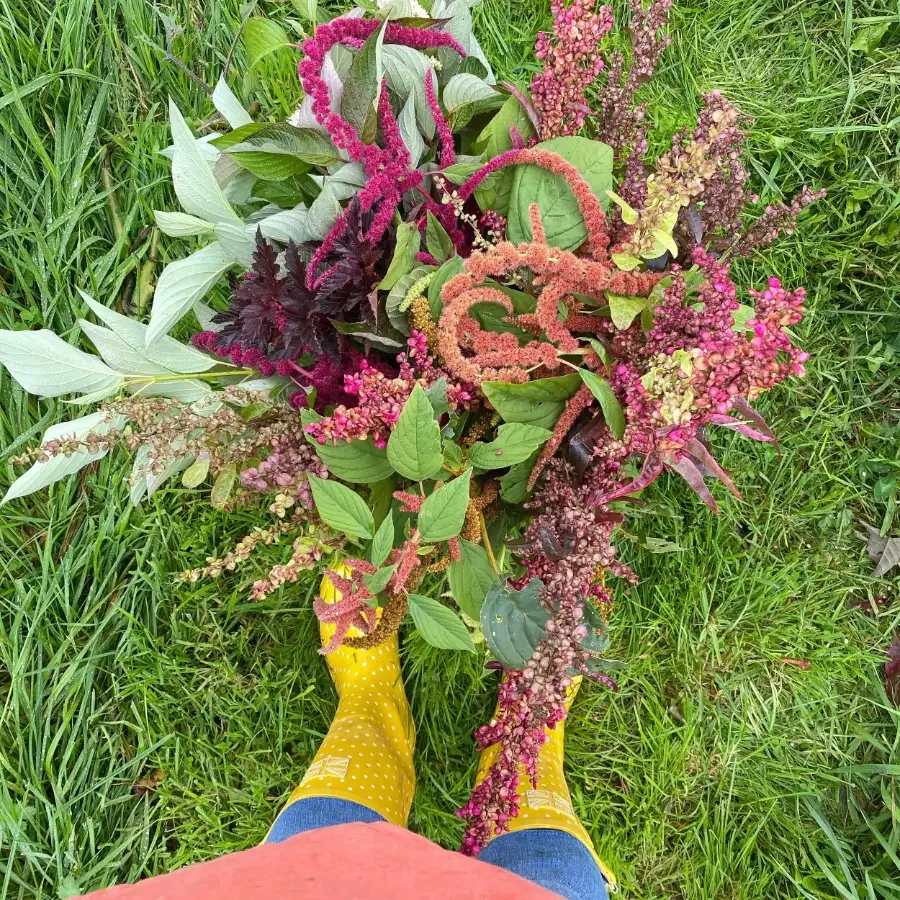  Flower bouquet taken from above 