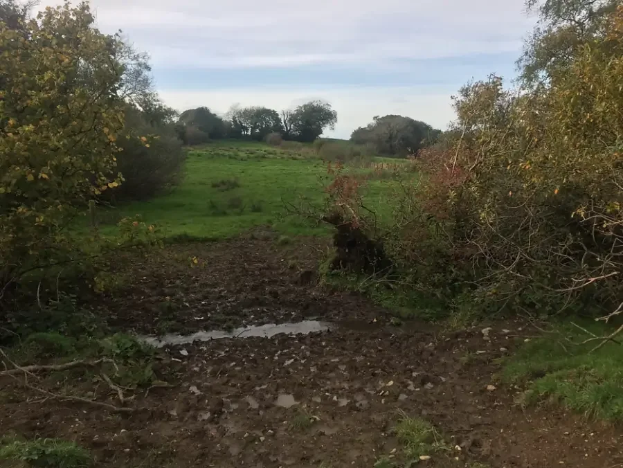 Muddy path at the bottom of the flower farm as a field