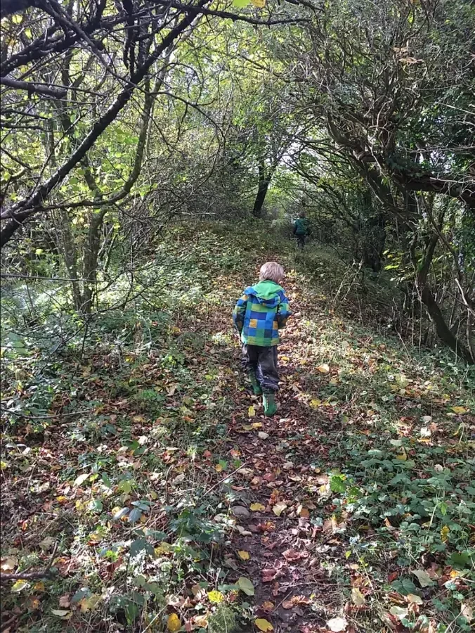 Children running down a woodland path