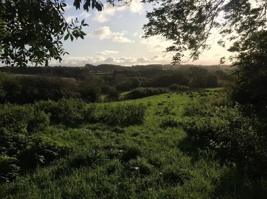 Cumberland Flower Farm as a plain field