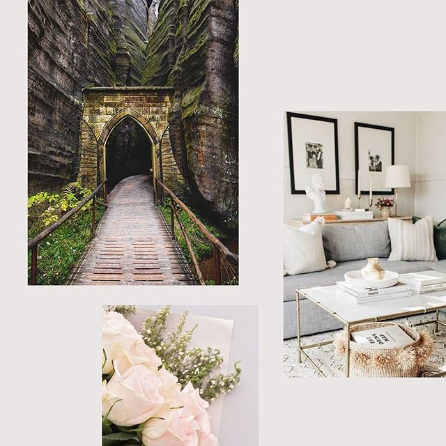 Sneak Peek a moodboard and color palette for a new Brand identity. Keep an eye out for the launch of @sanctuaryfengshui 
#brand #identity #moodboard #colorpalette #vision #visionboard #branding #design #creative #design #graphicdesign #fengshui #sara