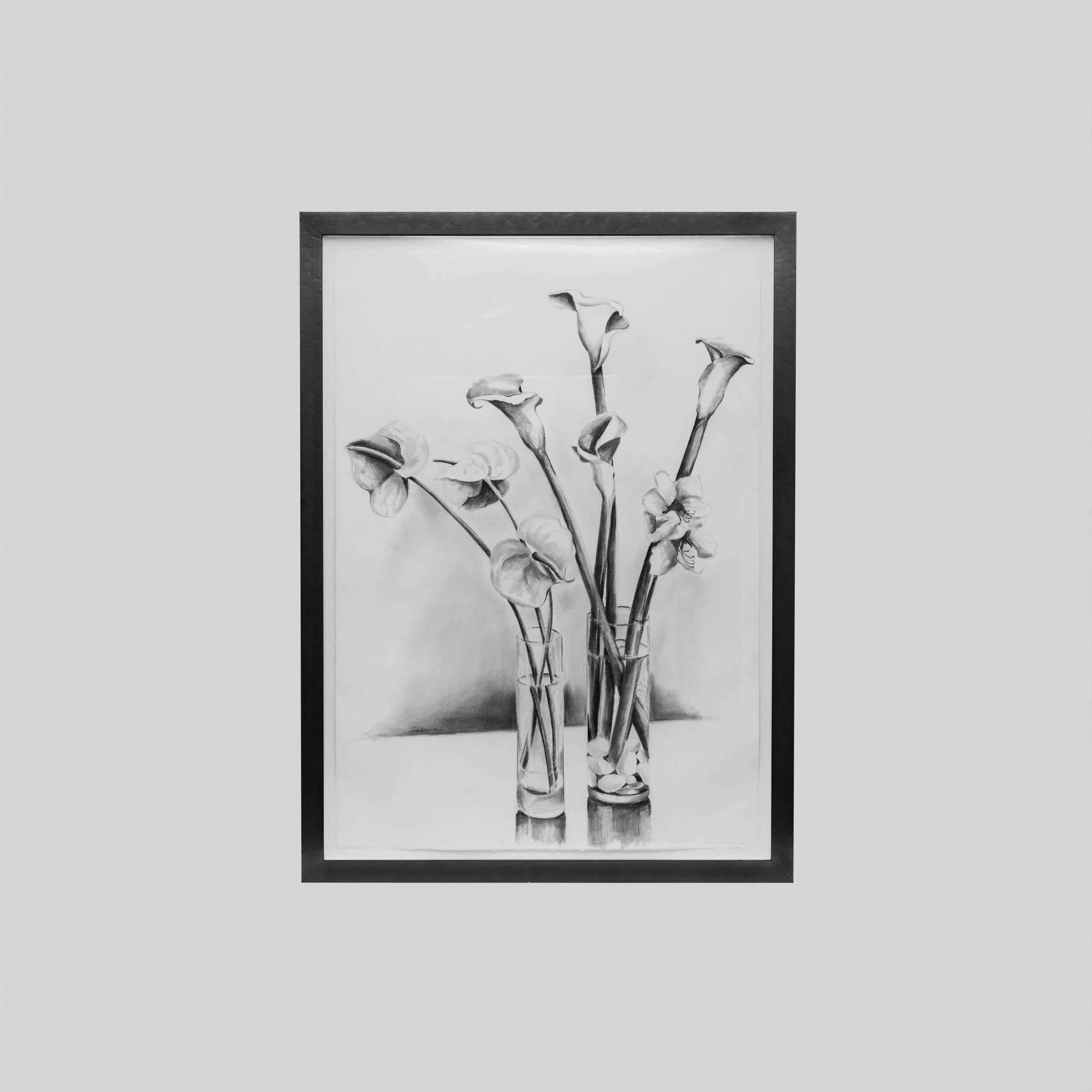 Calla Lillies, graphite