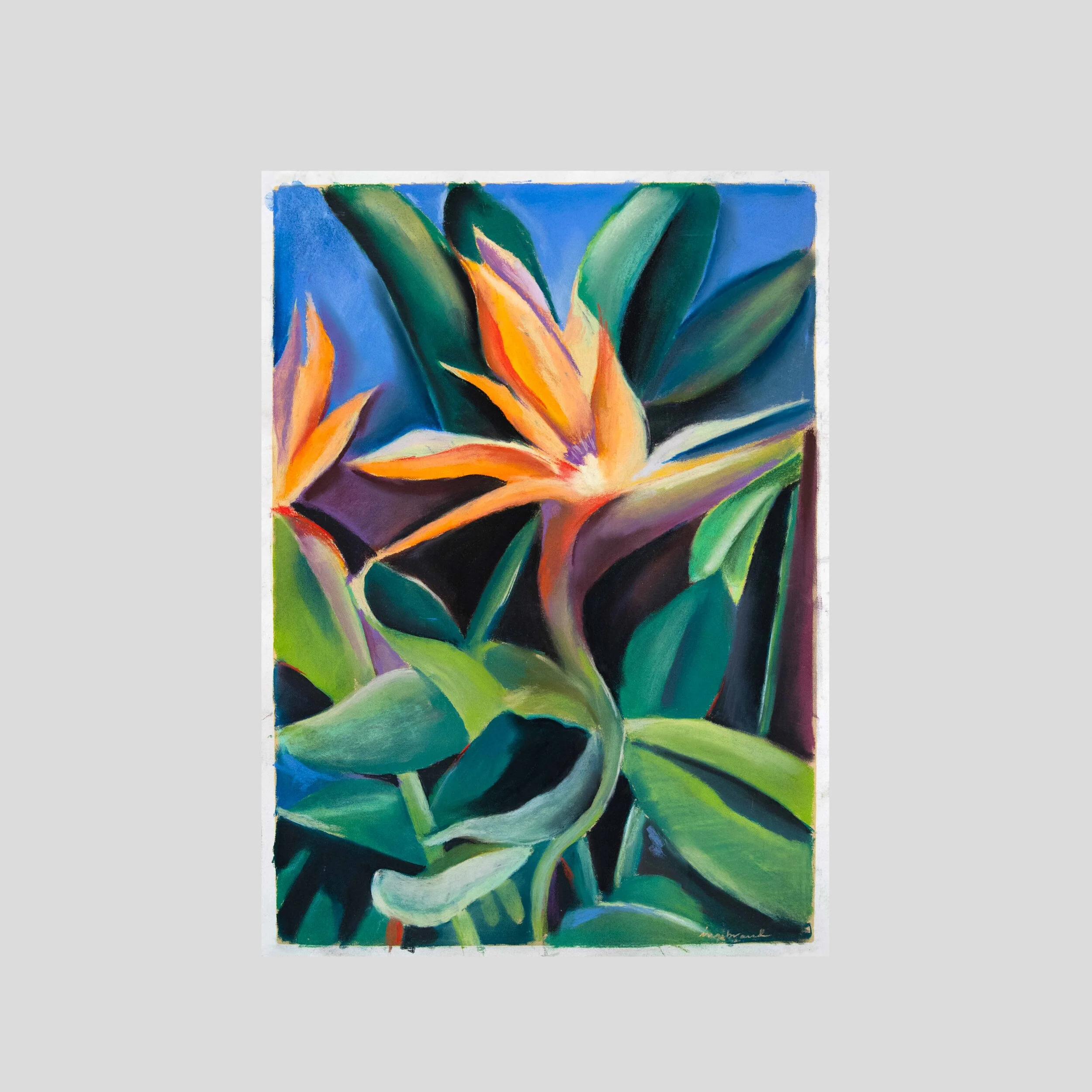 Charlie's Garden II, pastel