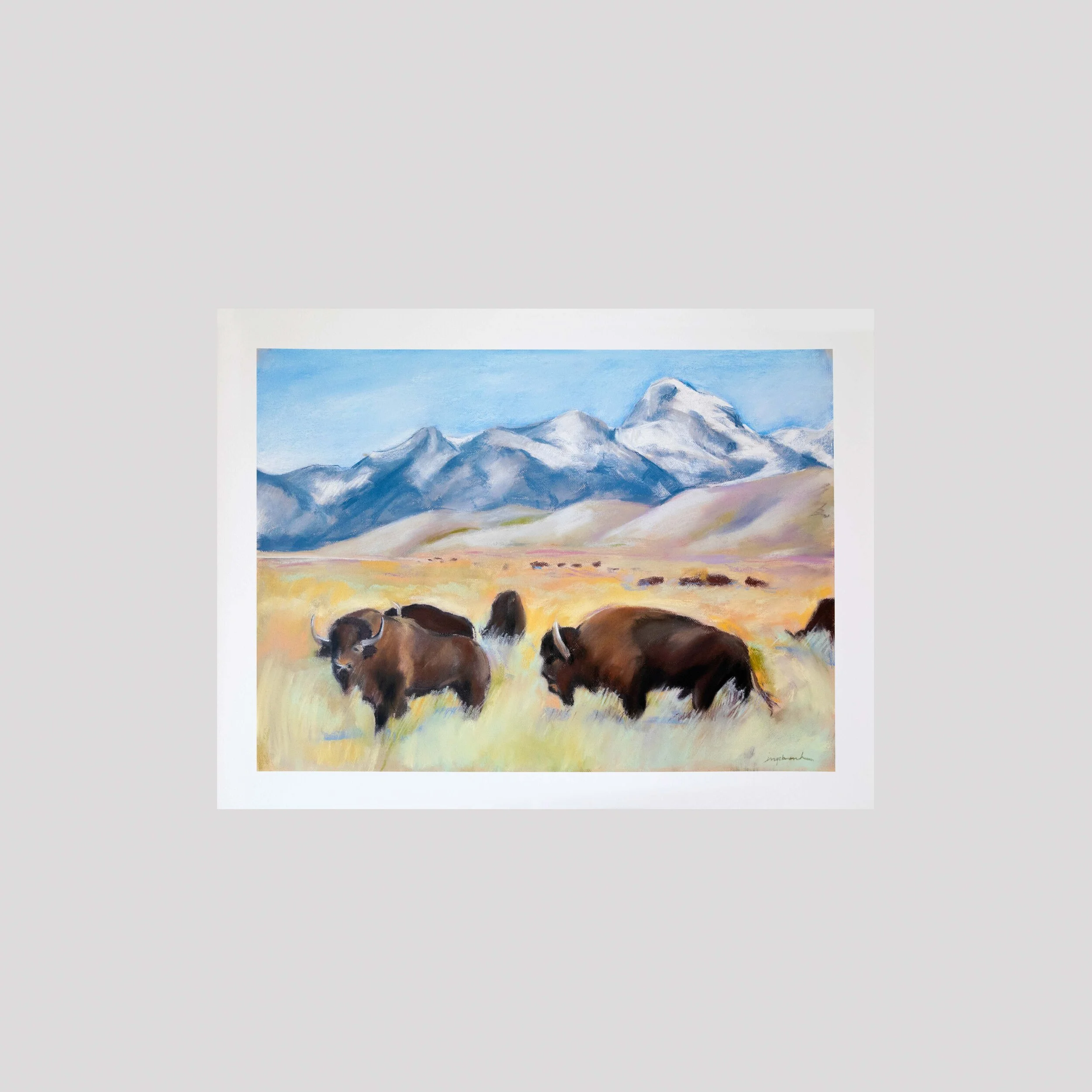 Tetons Buffalo, pastel