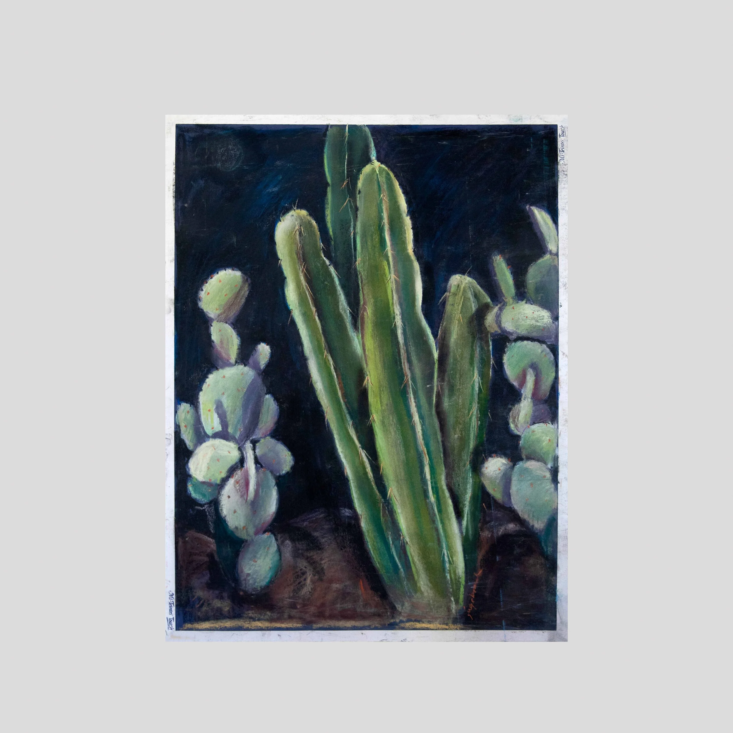 Night Cactus I, pastel