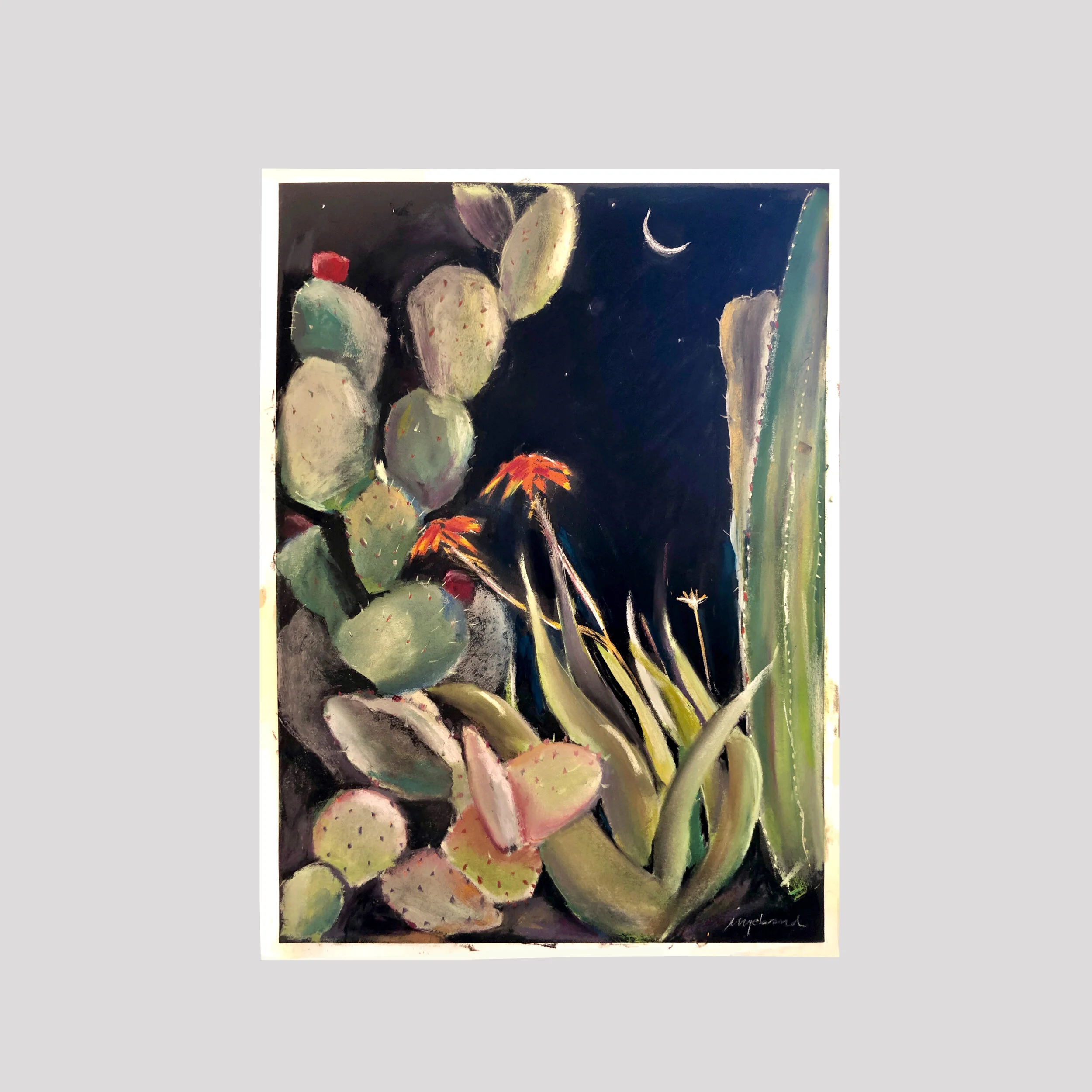 Night Cactus II, pastel