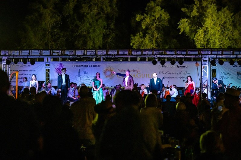 Opera in the Park