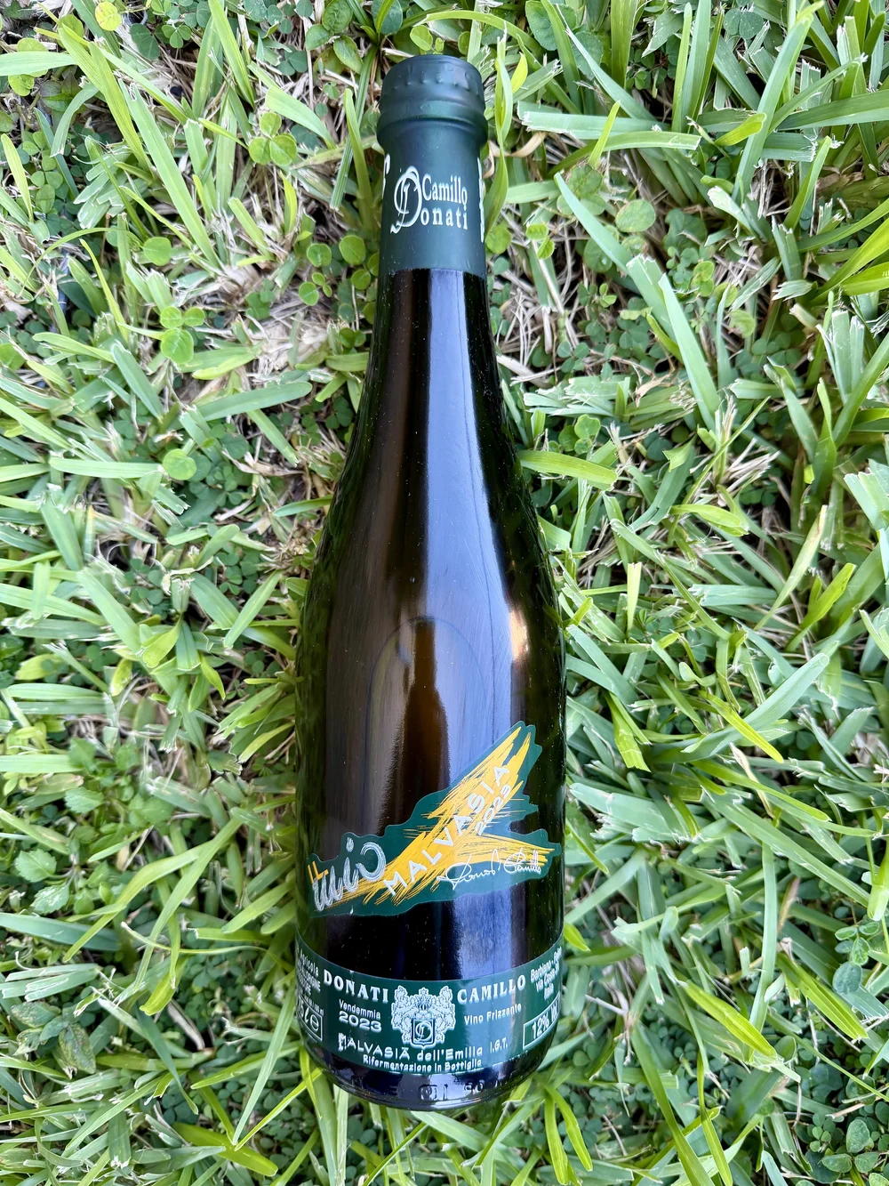 Camillo Donati -Malvasia dell'Emilia Frizzante — Primitive