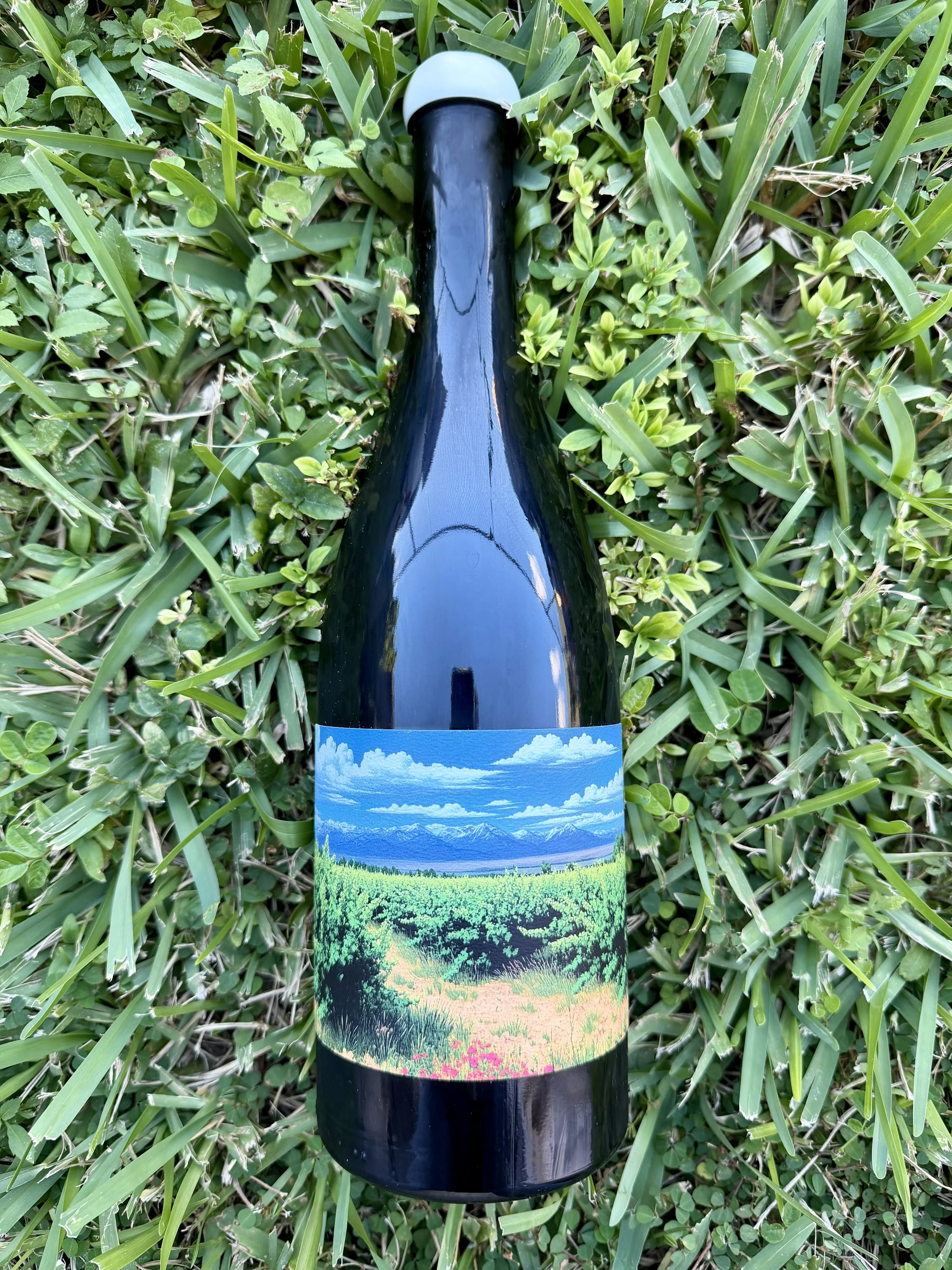 Swick Wines - 'Sonrisa' Grenache Noir 2022