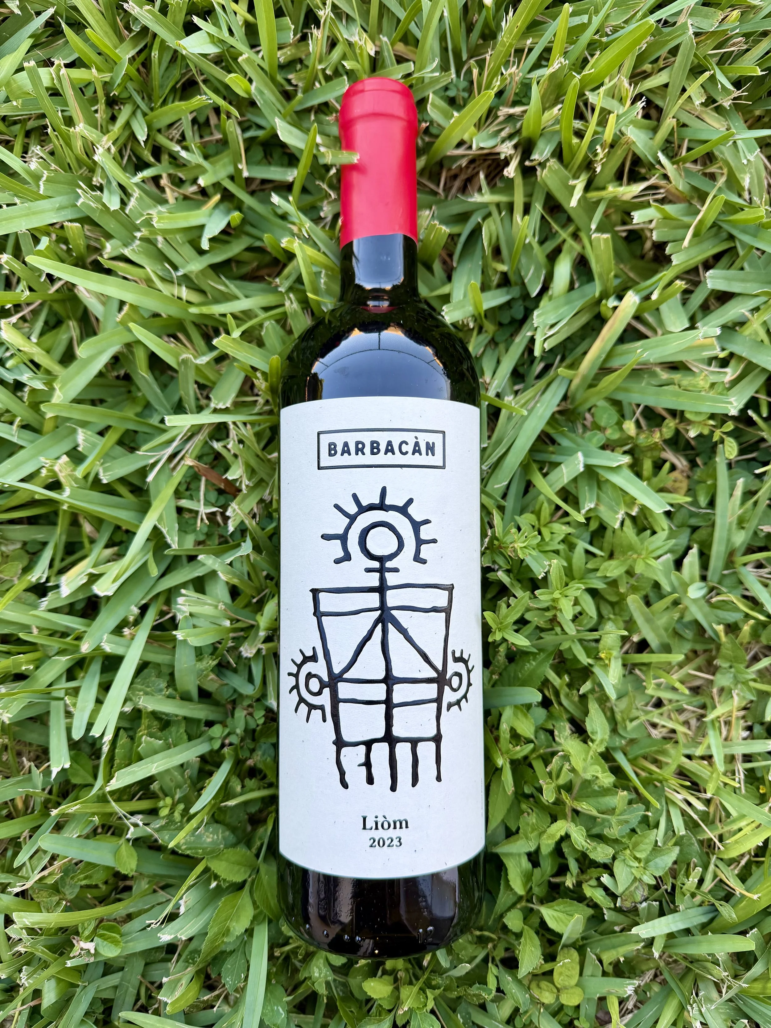 Barbacàn - Liòm Amphora Red Alpi Retiche 2024