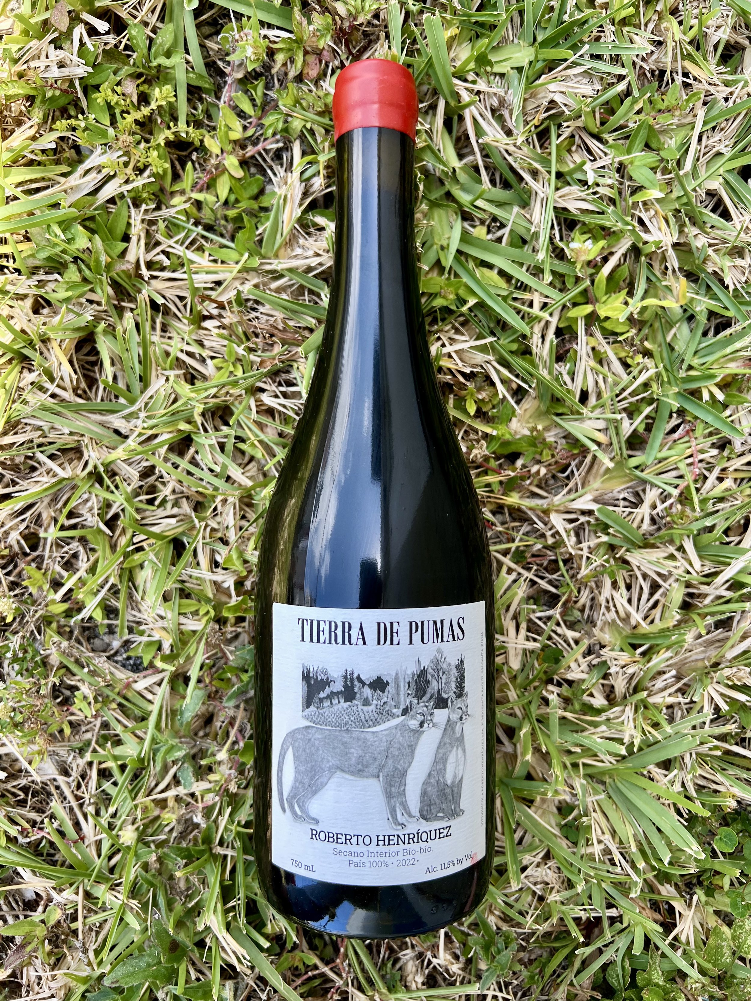 Roberto Henríquez - Tierra de Pumas País