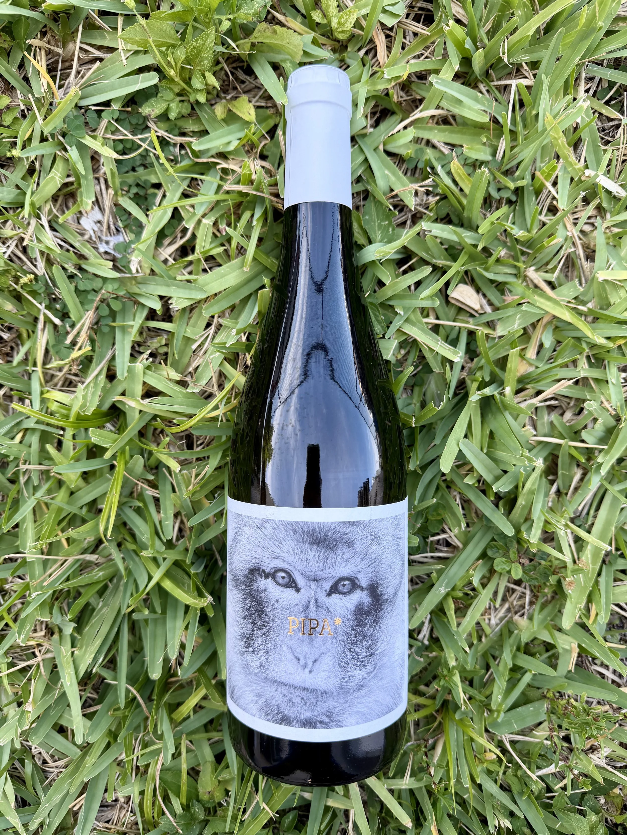La Vinyeta - Pipa Mono Blanc 2024