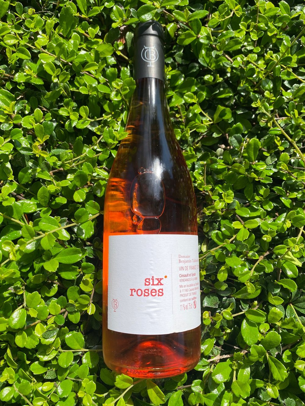 洋次郎　ローズアター他13本 Domaine Benjamin Taillandier - Six Roses — Primitive Selections