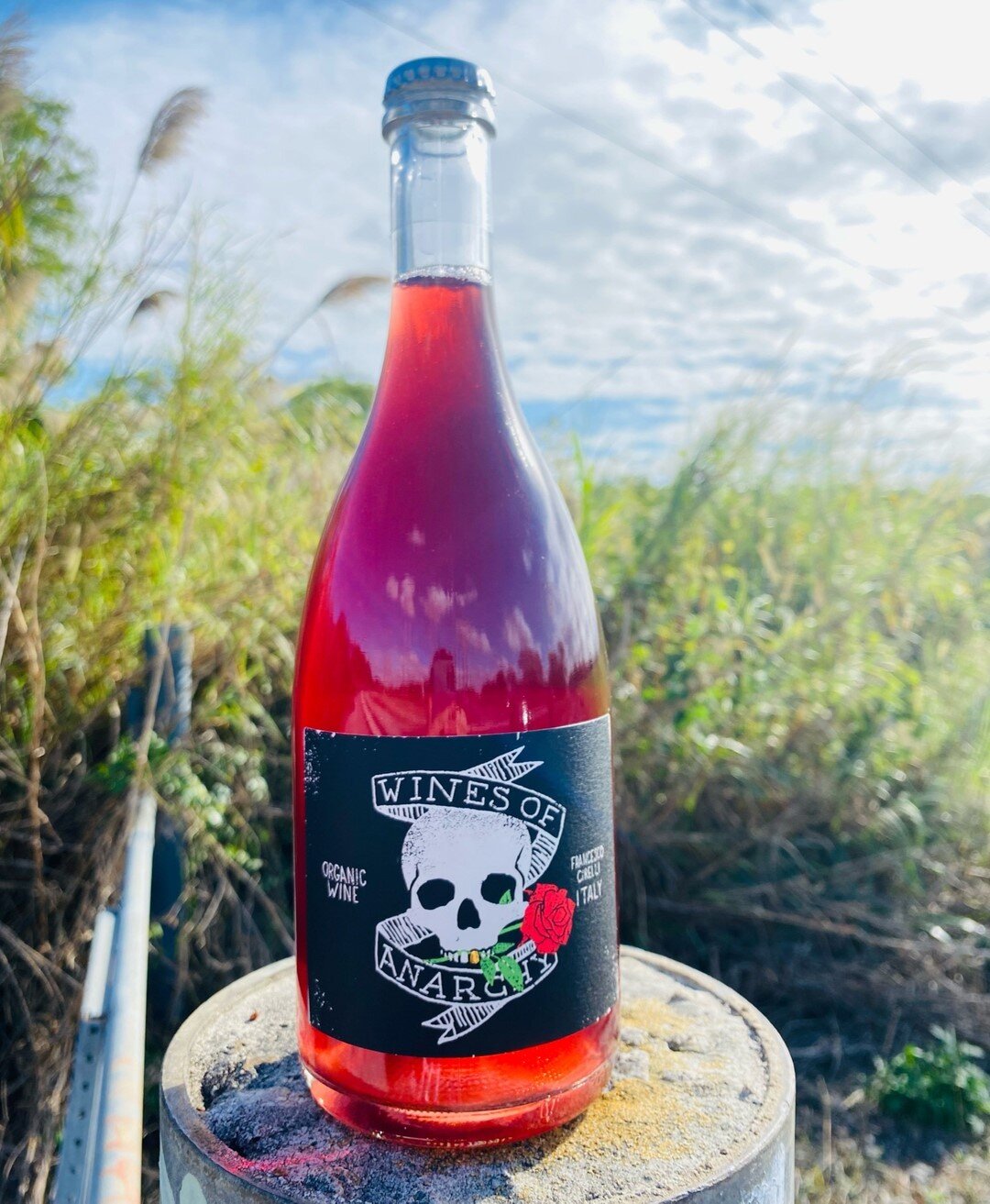 &ldquo;The skull is nature's sculpture.&rdquo; 💀🤙🏻⠀⠀⠀⠀⠀⠀⠀⠀⠀
⠀⠀⠀⠀⠀⠀⠀⠀⠀
Cirelli - Wines of Anarchy Rosato⠀⠀⠀⠀⠀⠀⠀⠀⠀
⠀⠀⠀⠀⠀⠀⠀⠀⠀
Click the link in our bio to #OrderNow‼️⠀⠀⠀⠀⠀⠀⠀⠀⠀
&bull;⠀⠀⠀⠀⠀⠀⠀⠀⠀
&bull;⠀⠀⠀⠀⠀⠀⠀⠀⠀
&bull;⠀⠀⠀⠀⠀⠀⠀⠀⠀
&bull;⠀⠀⠀⠀⠀⠀⠀⠀⠀
#primitive