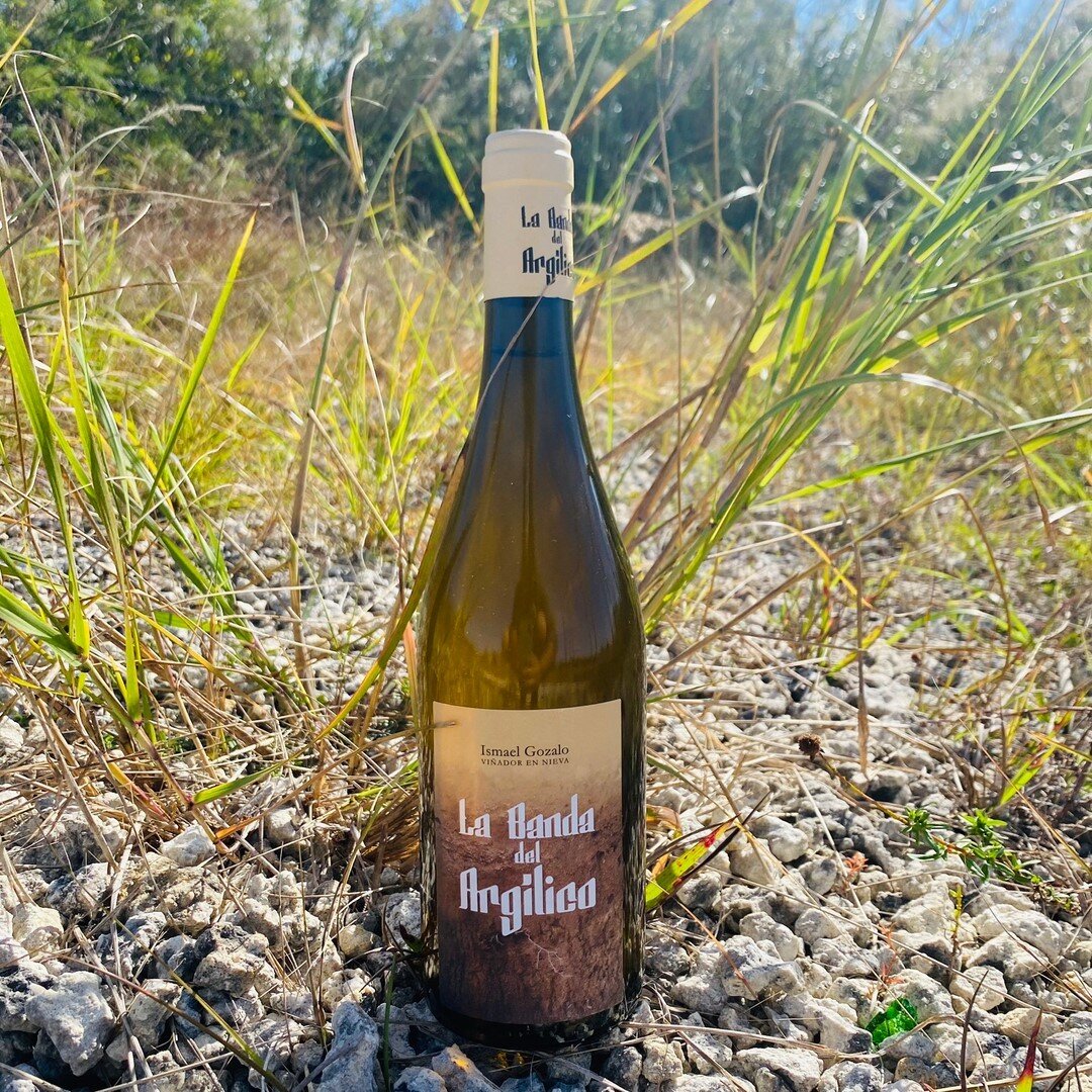 Made from Verdejo 🍇 from two different vineyards and harvests in Nieva, Spain, this wine savors citrus while also embracing the minerality and salinity from its terroir. ⠀⠀⠀⠀⠀⠀⠀⠀⠀
⠀⠀⠀⠀⠀⠀⠀⠀⠀
MicroBio / La Banda del Argilico⠀⠀⠀⠀⠀⠀⠀⠀⠀
⠀⠀⠀⠀⠀⠀⠀⠀⠀
Click t