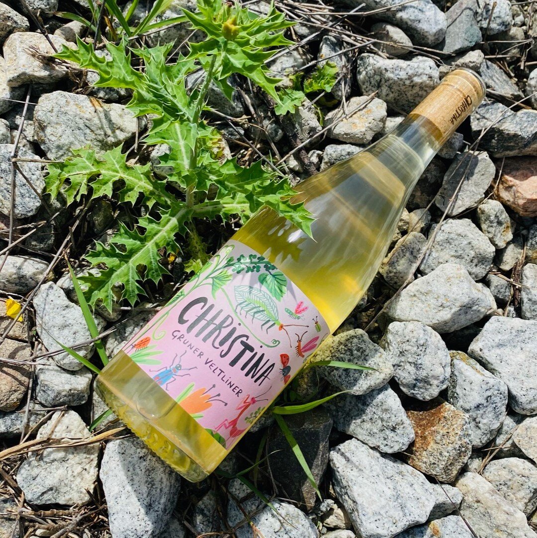 Bright, Tropical and Refreshing 🤩⠀⠀⠀⠀⠀⠀⠀⠀⠀
⠀⠀⠀⠀⠀⠀⠀⠀⠀
Christina / Gruner Veltliner⠀⠀⠀⠀⠀⠀⠀⠀⠀
⠀⠀⠀⠀⠀⠀⠀⠀⠀
Click the link in our bio to #OrderNow‼️⠀⠀⠀⠀⠀⠀⠀⠀⠀
&bull;⠀⠀⠀⠀⠀⠀⠀⠀⠀
&bull;⠀⠀⠀⠀⠀⠀⠀⠀⠀
&bull;⠀⠀⠀⠀⠀⠀⠀⠀⠀
&bull;⠀⠀⠀⠀⠀⠀⠀⠀⠀
#primitiveselections #shoplocal #s