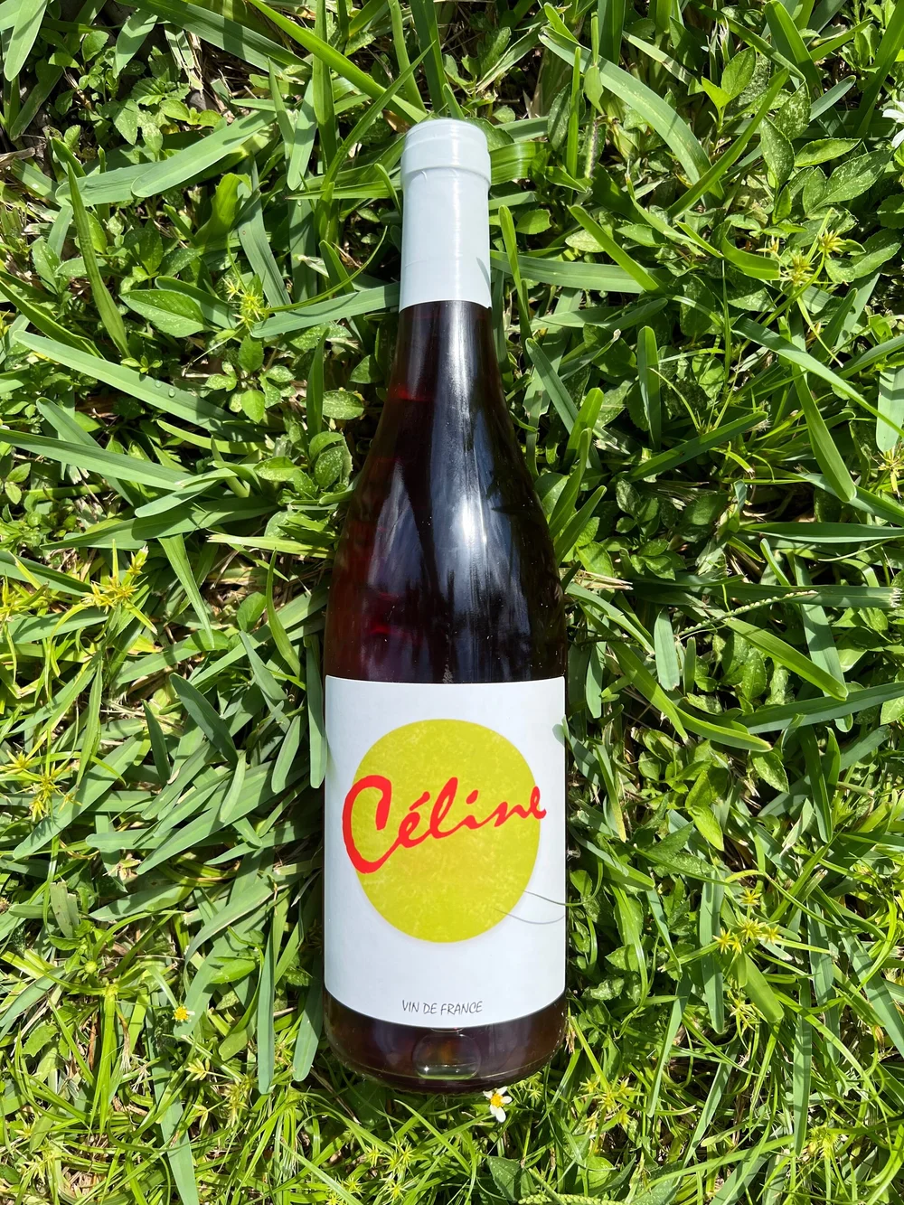 Domaine Yves Duport - Céline — Primitive Selections - Natural Wines
