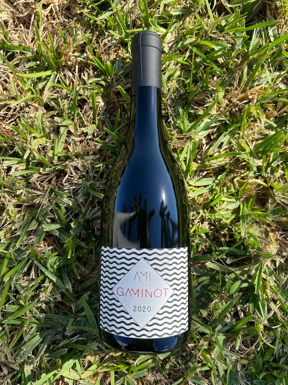AMI - Gaminot VDF Red — Primitive Selections - Natural Wines