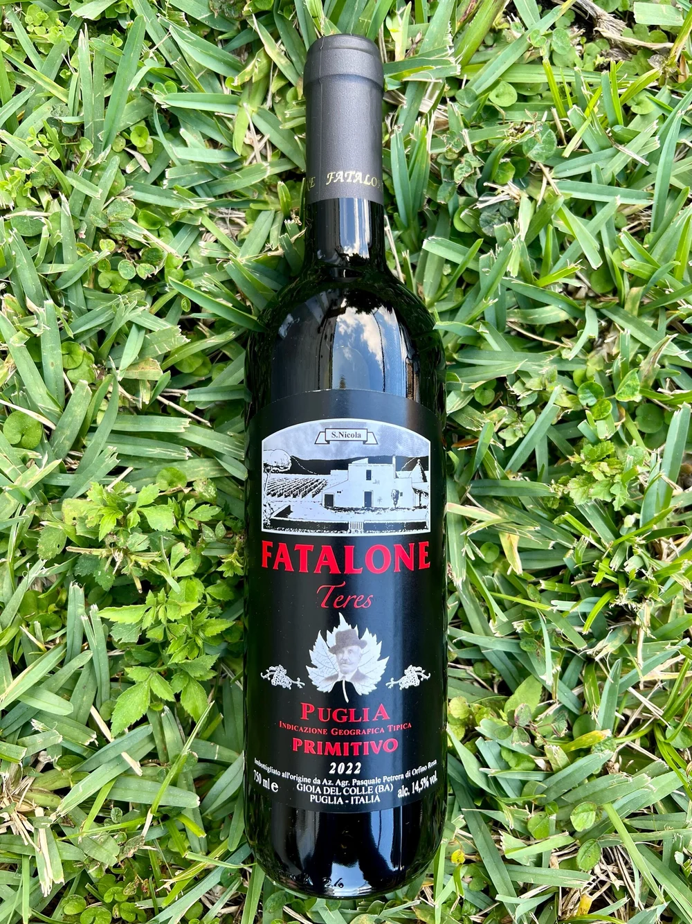Fatalone - Teres Primitivo — Primitive Selections - Natural Wines
