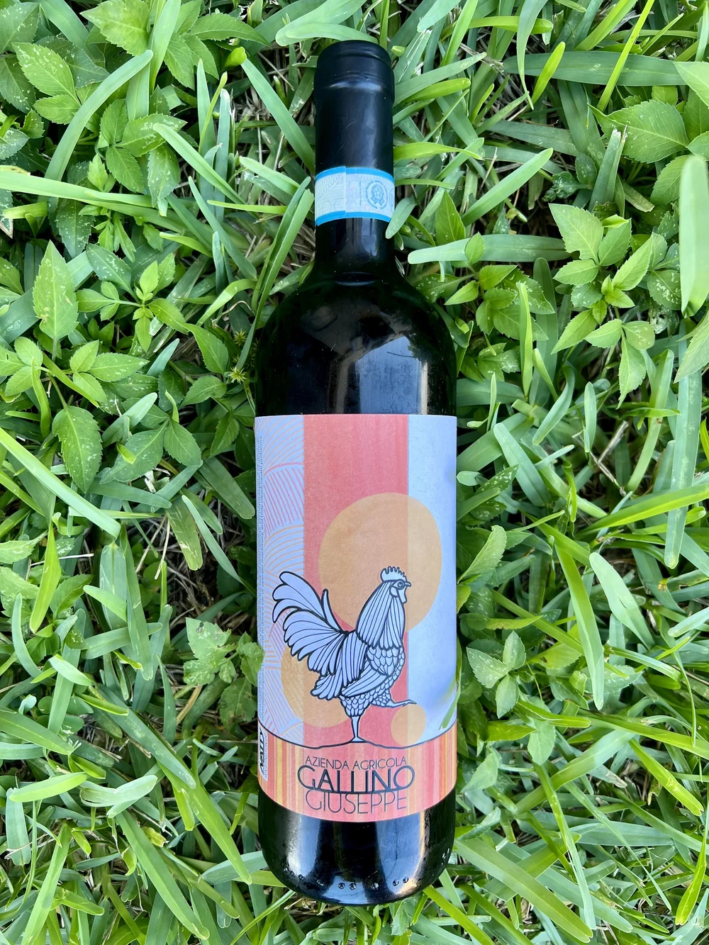 Gallino Giuseppe Barbera d'Alba — Primitive Selections Natural