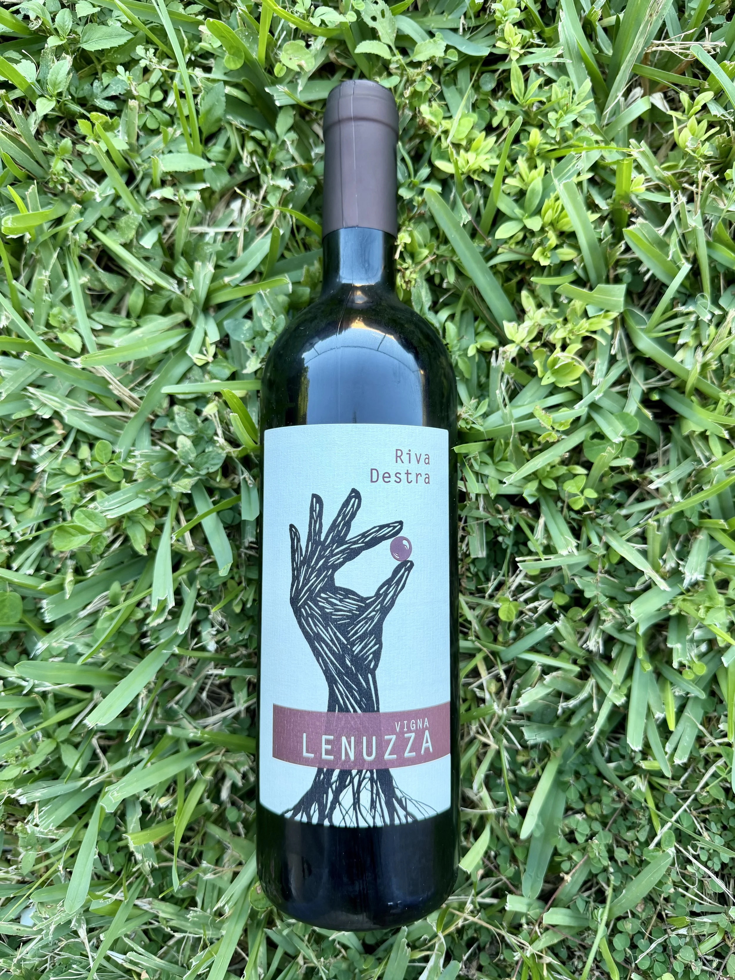 Vigna Lenuzza - Riva Destra Rosso Friuli Colli Orientali DOP 2024