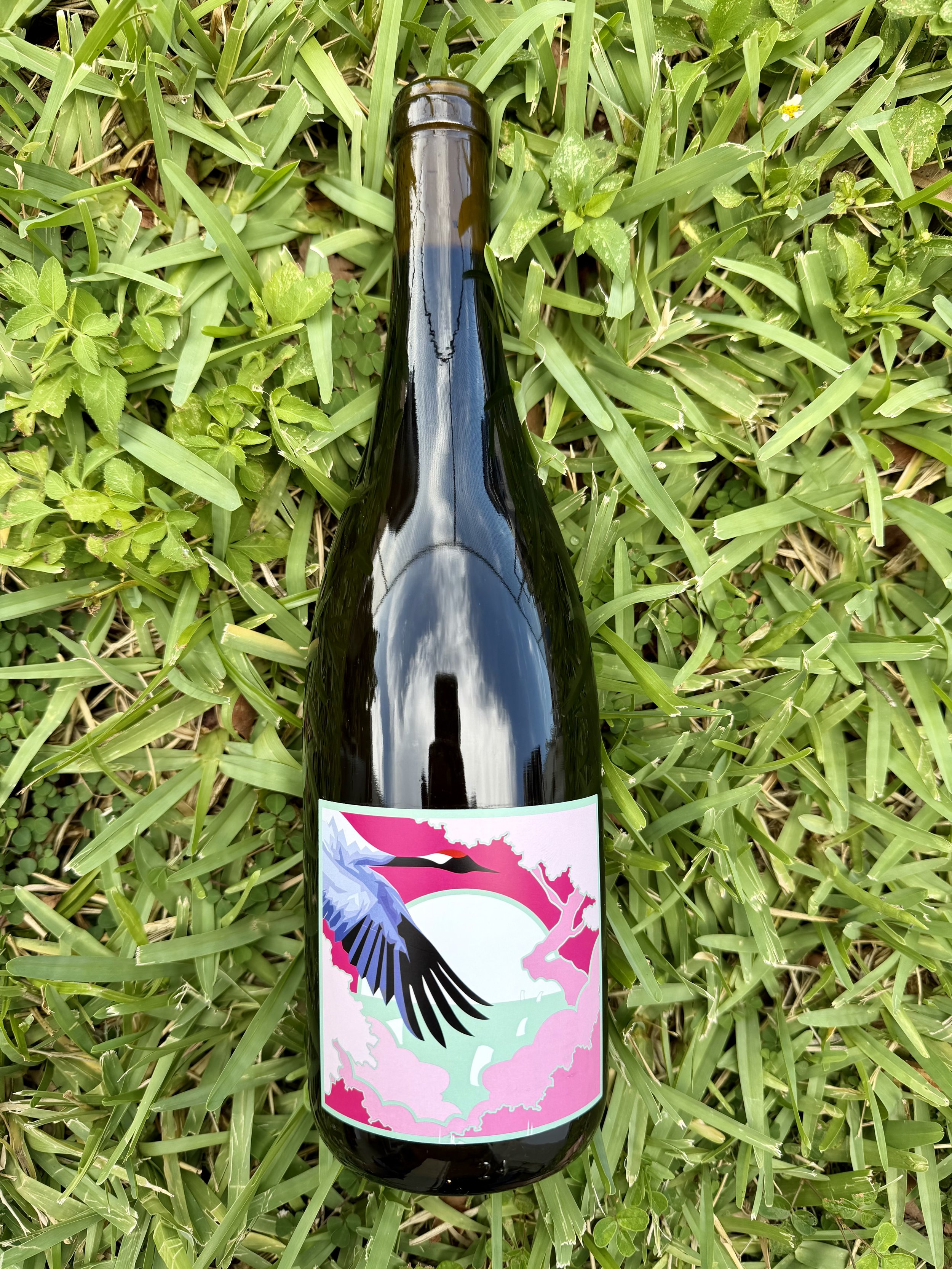 Grape Republic Anfora Rosso Yamagata 2023