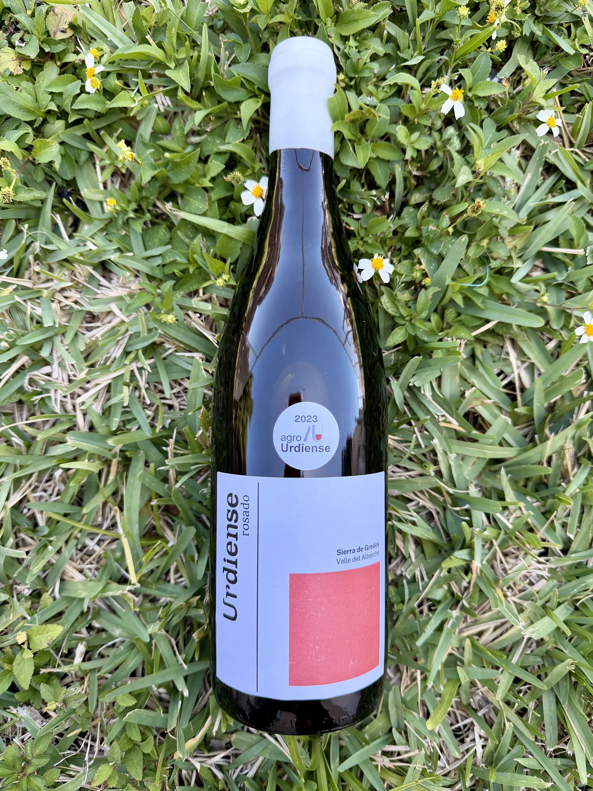 Agro-Urdiense - Urdiense Rosado 2023