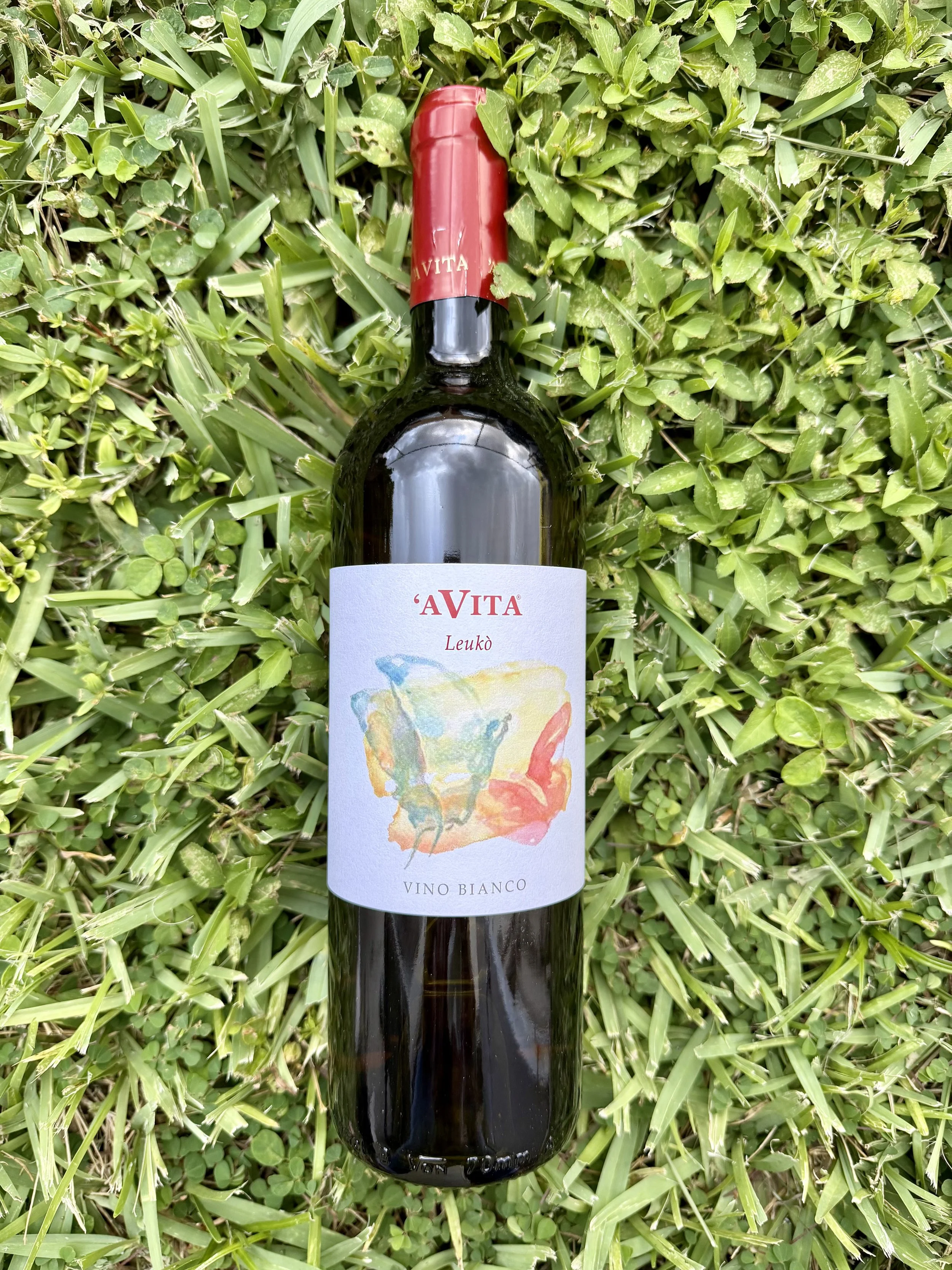 A Vita Cirò - 'Leukò' Vino Bianco 2024