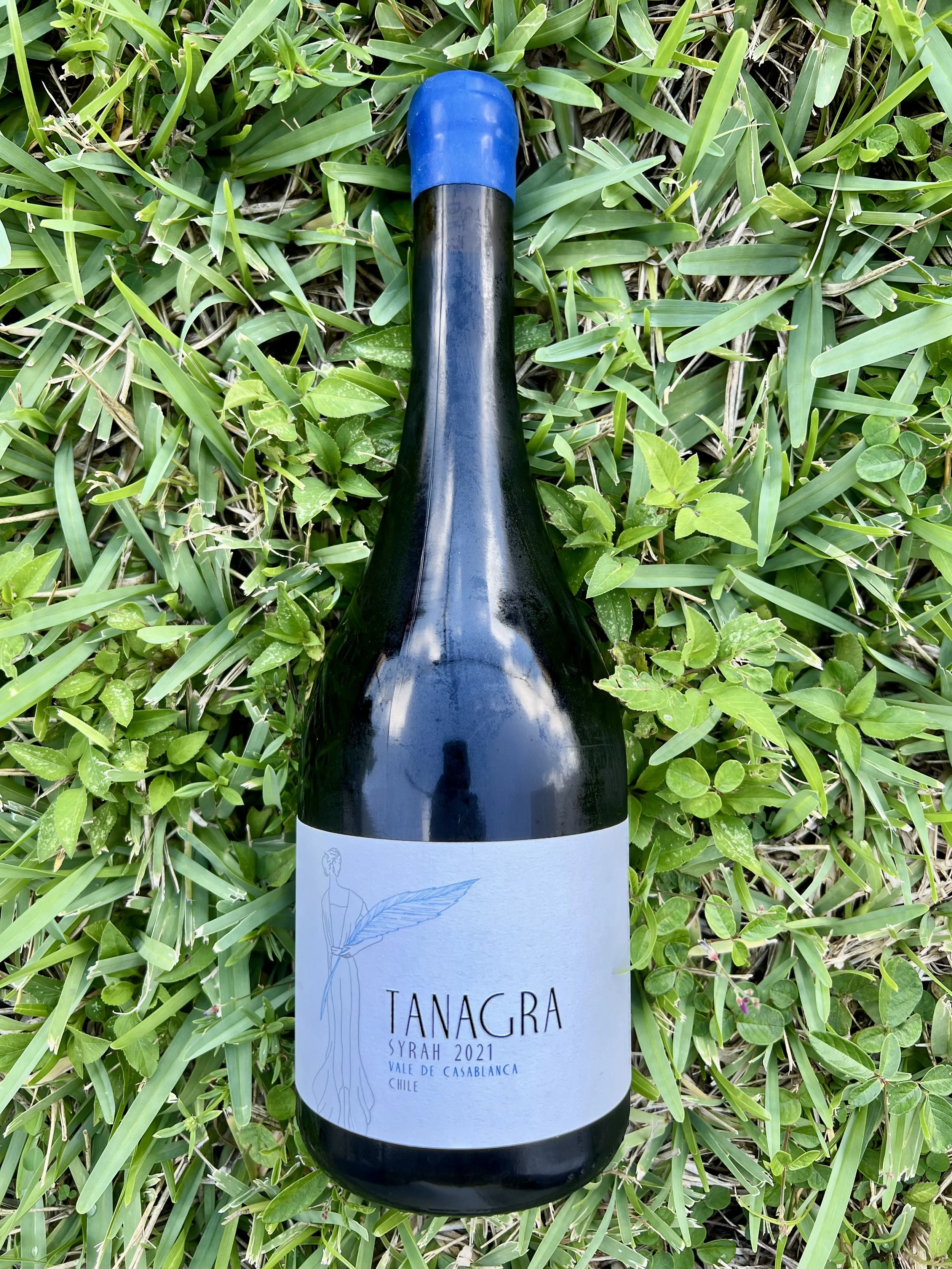 Villard - Tanagra Syrah