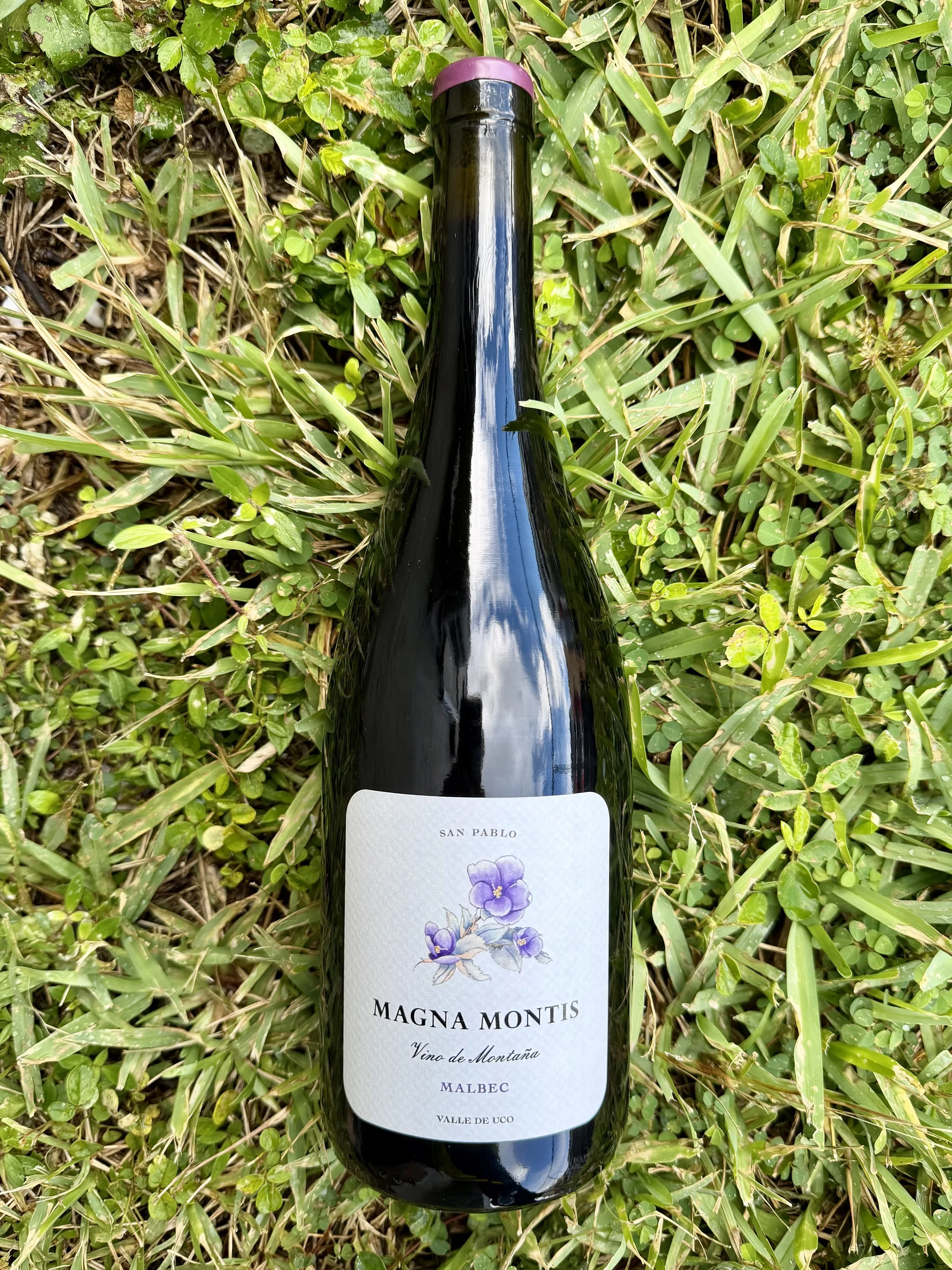 Magna Montis - Malbec San Pablo 2024