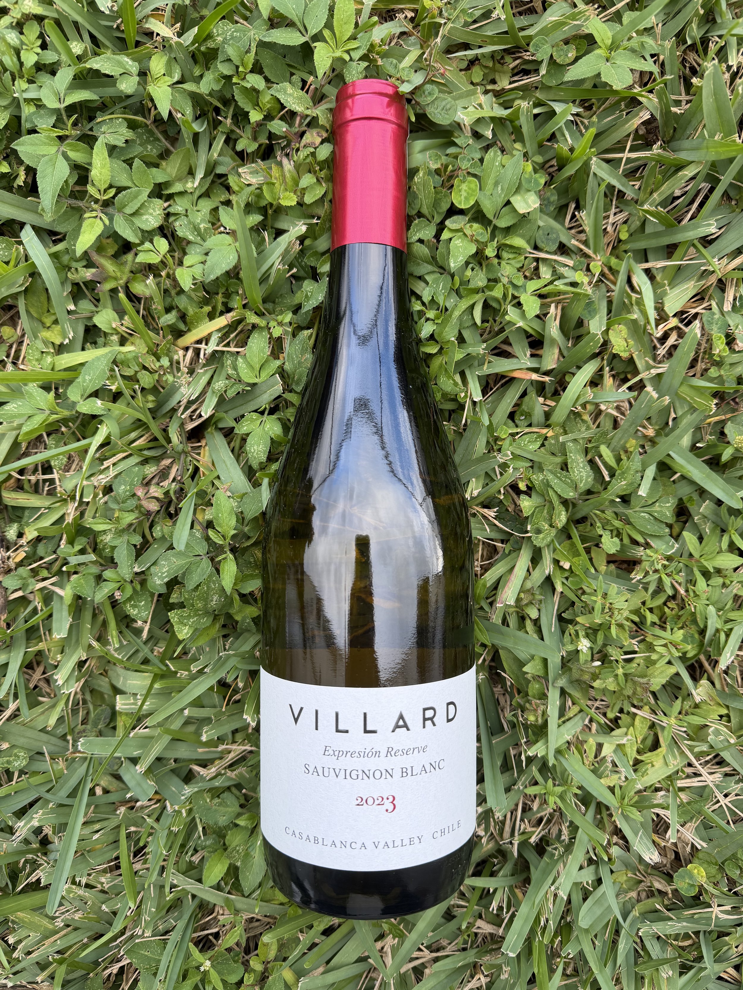 Villard - Expresión Reserve Sauvignon Blanc 2023