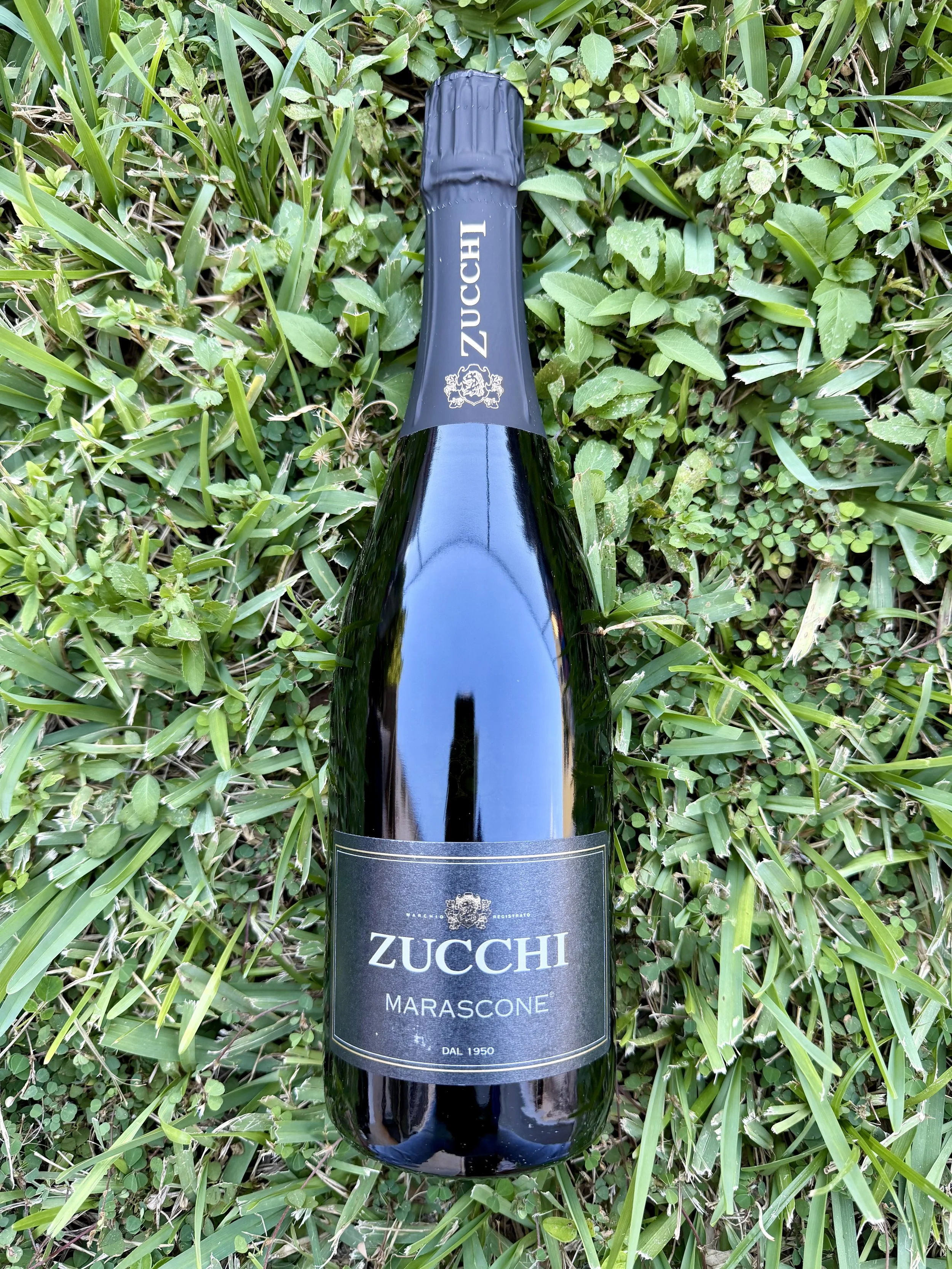 Silvia Zucchi - Marascone Lambrusco Rosso