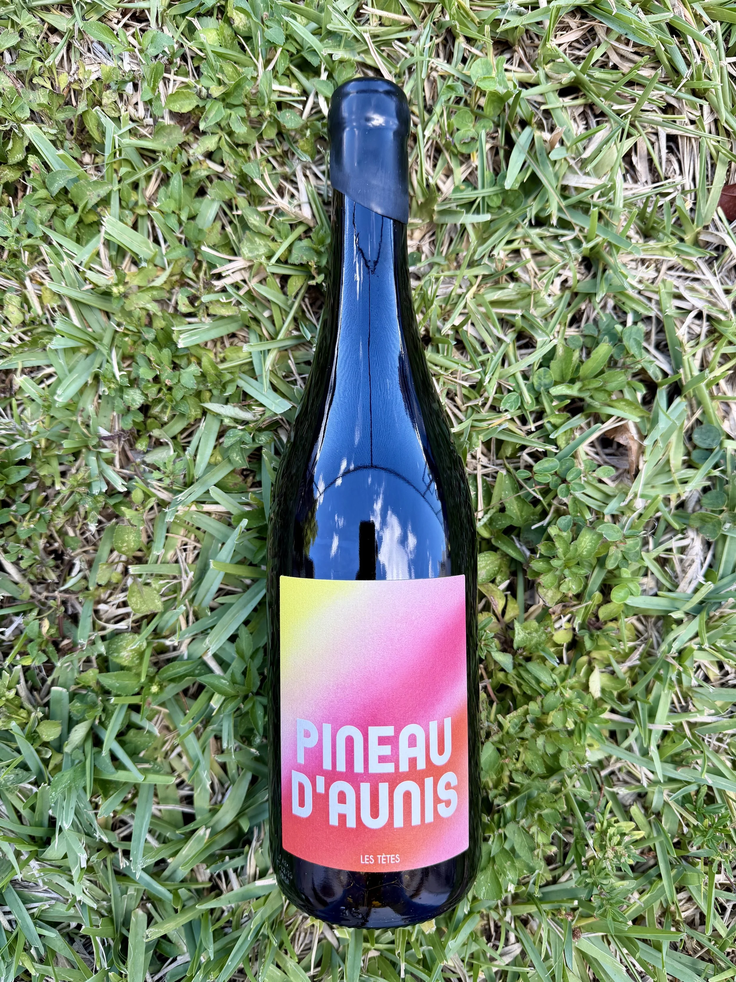 Les Tètes - Pineau d`Aunis VDF Red