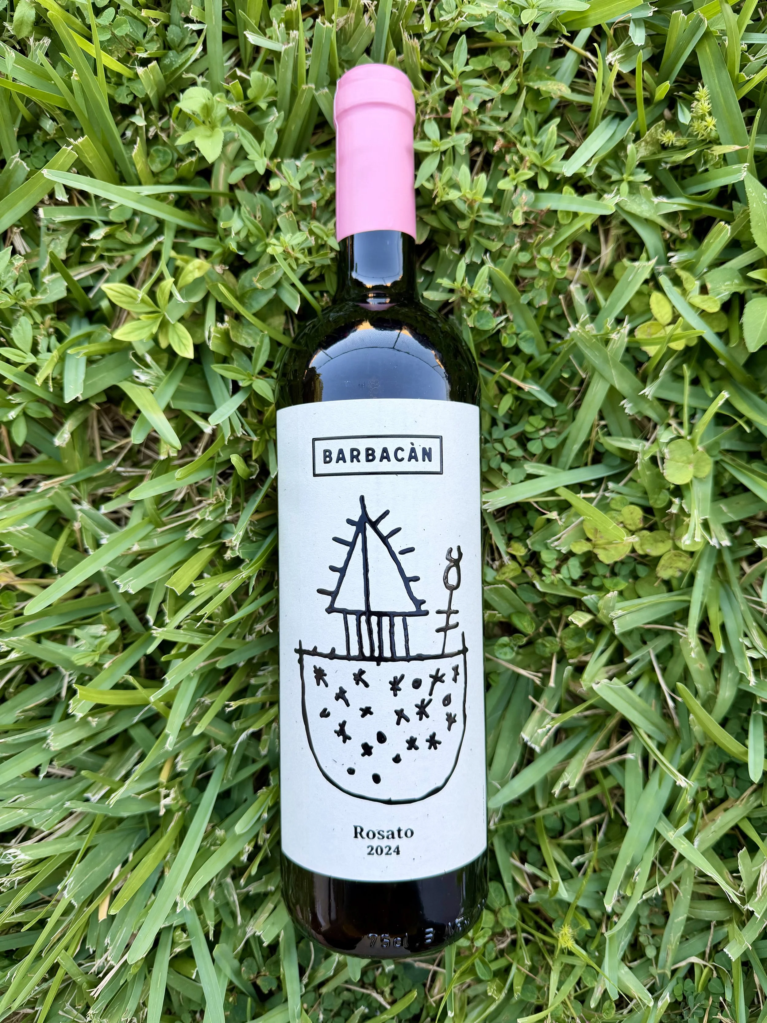 Barbacàn - Rosato Alpi Retiche 2024