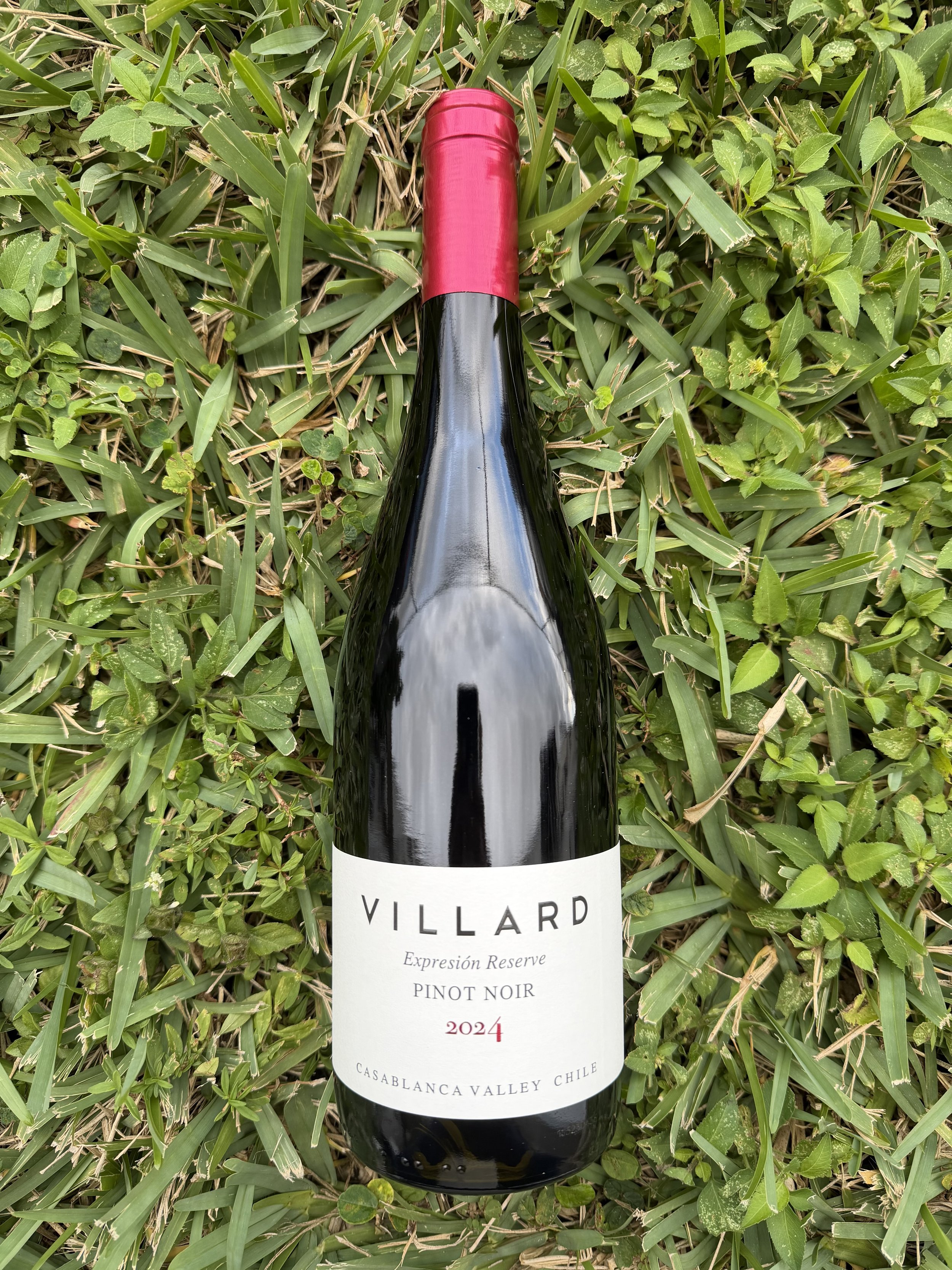 Villard - Expresión Reserve Pinot Noir 2024