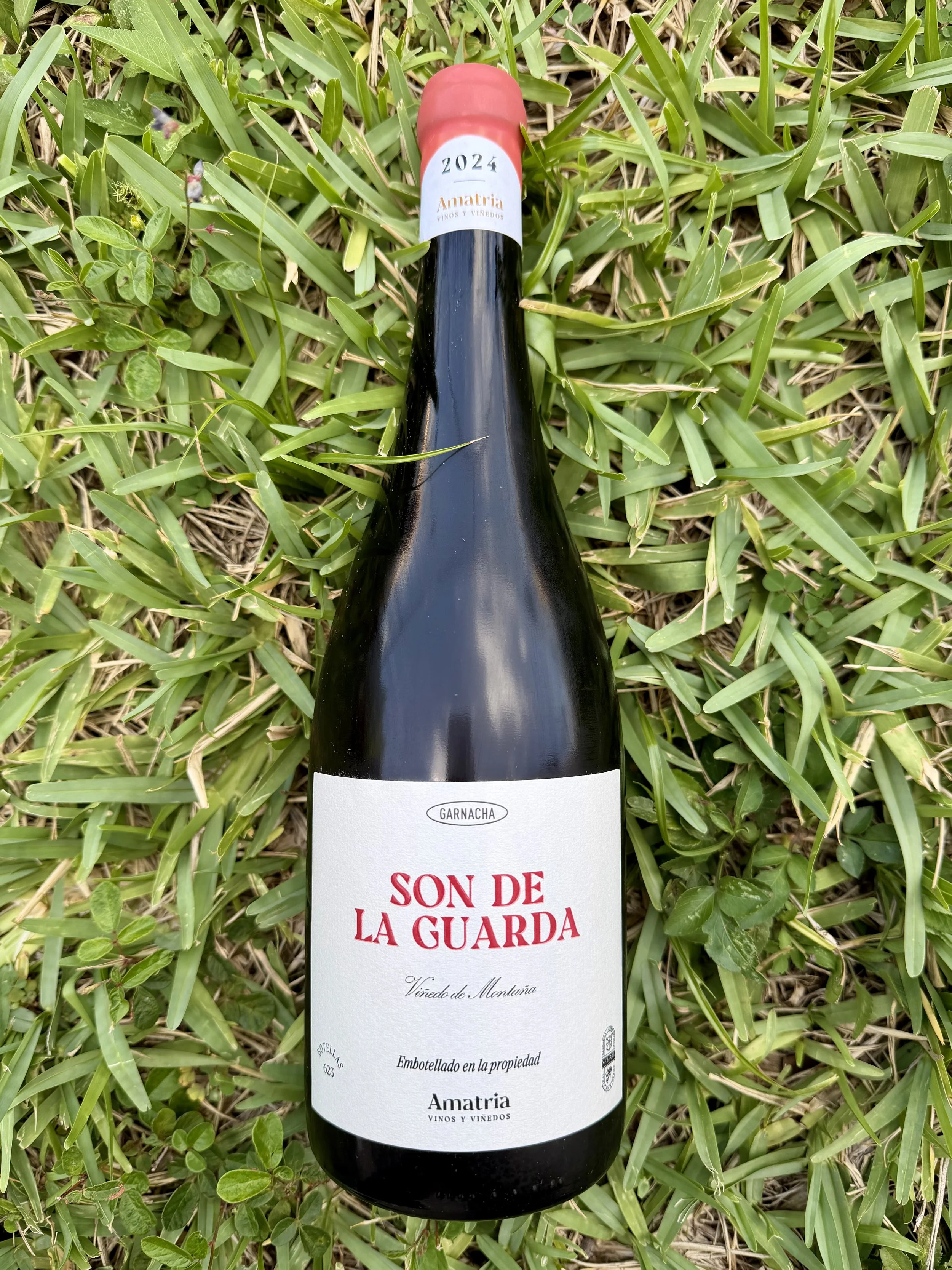 Amatria - Son de La Guarda Vino Rosado 2024