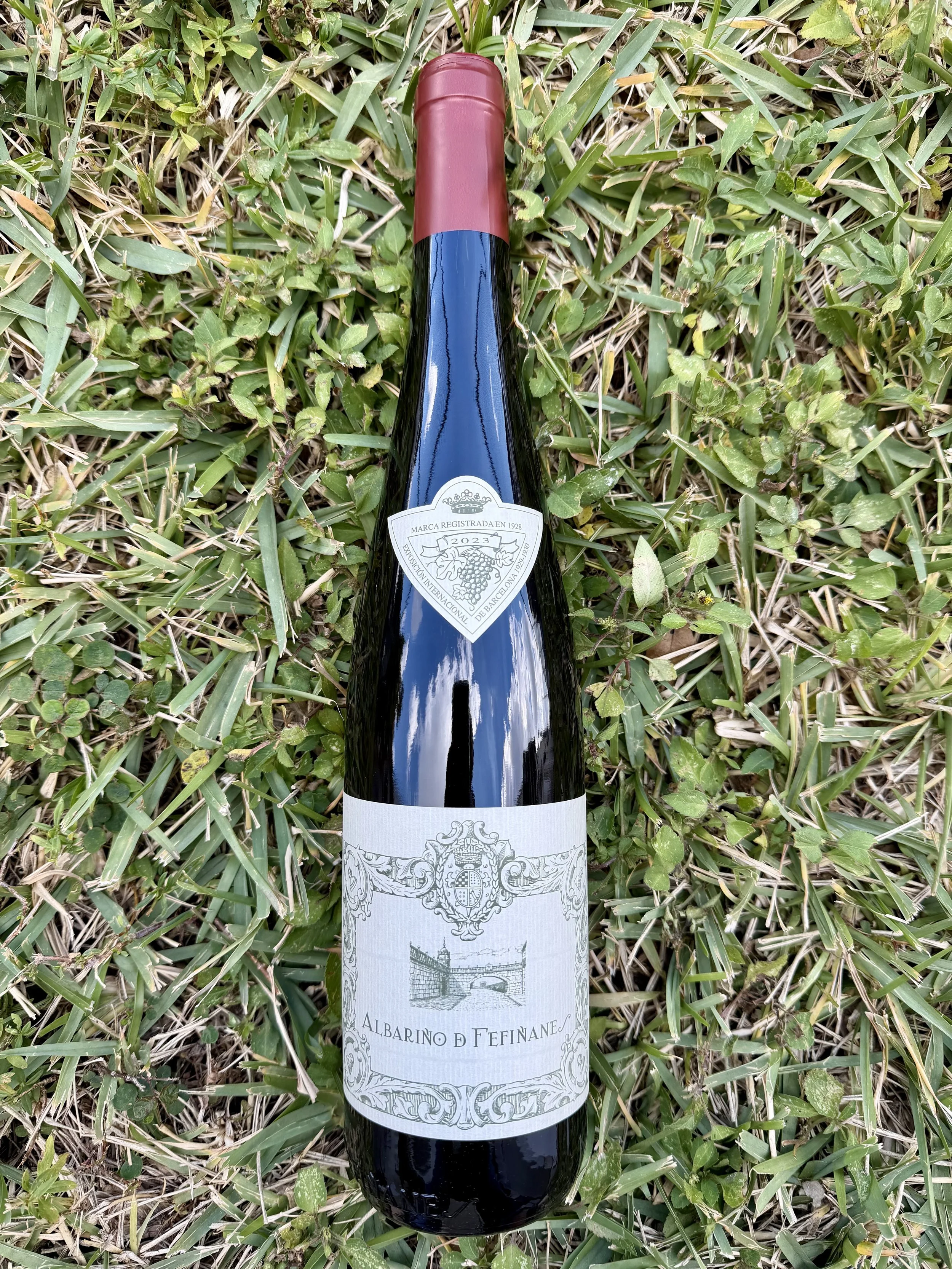 Bodegas del Palacio - Albariño d'Fefiñanes 2023