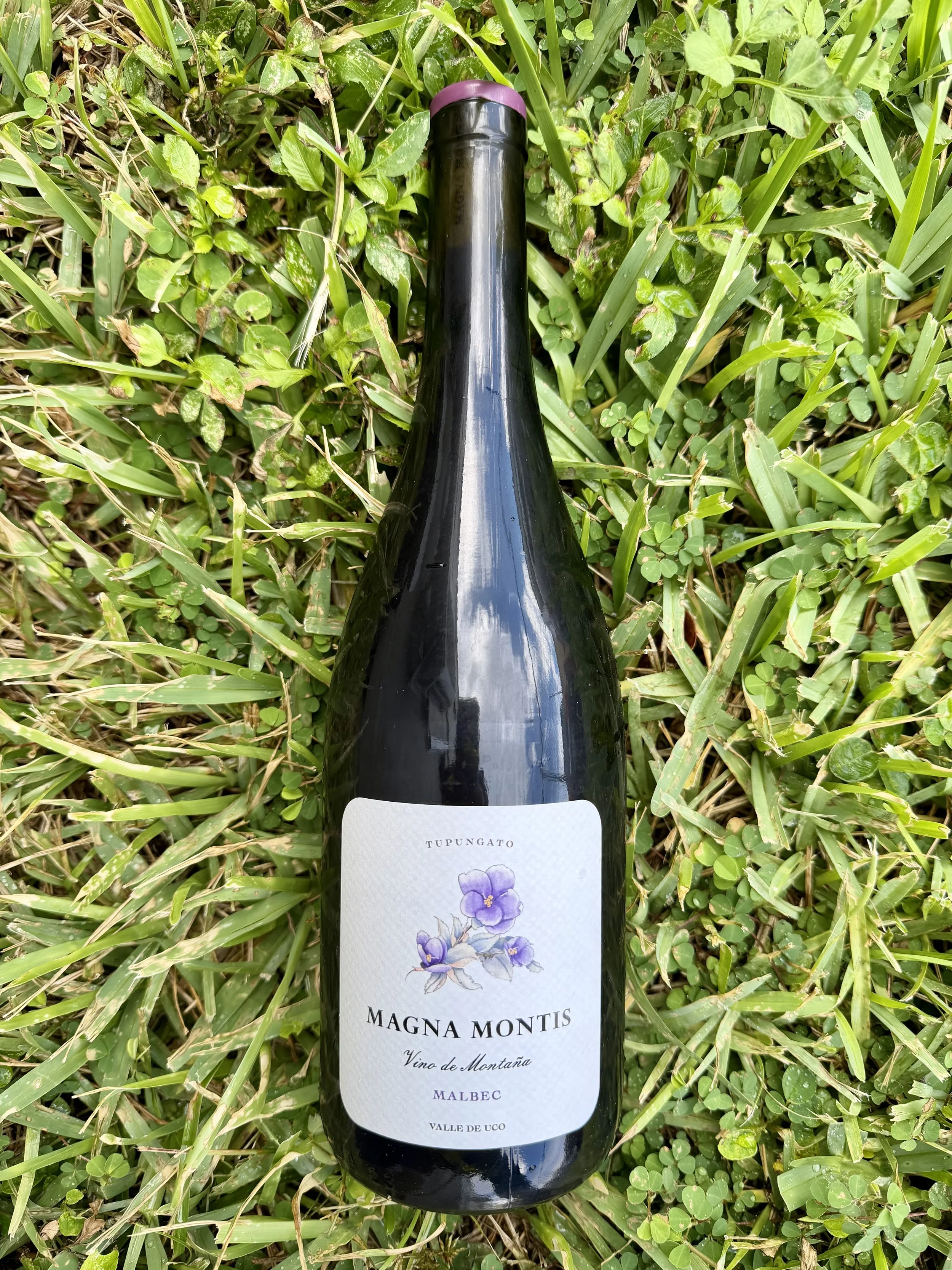 Magna Montis - Malbec Tupungato 2024