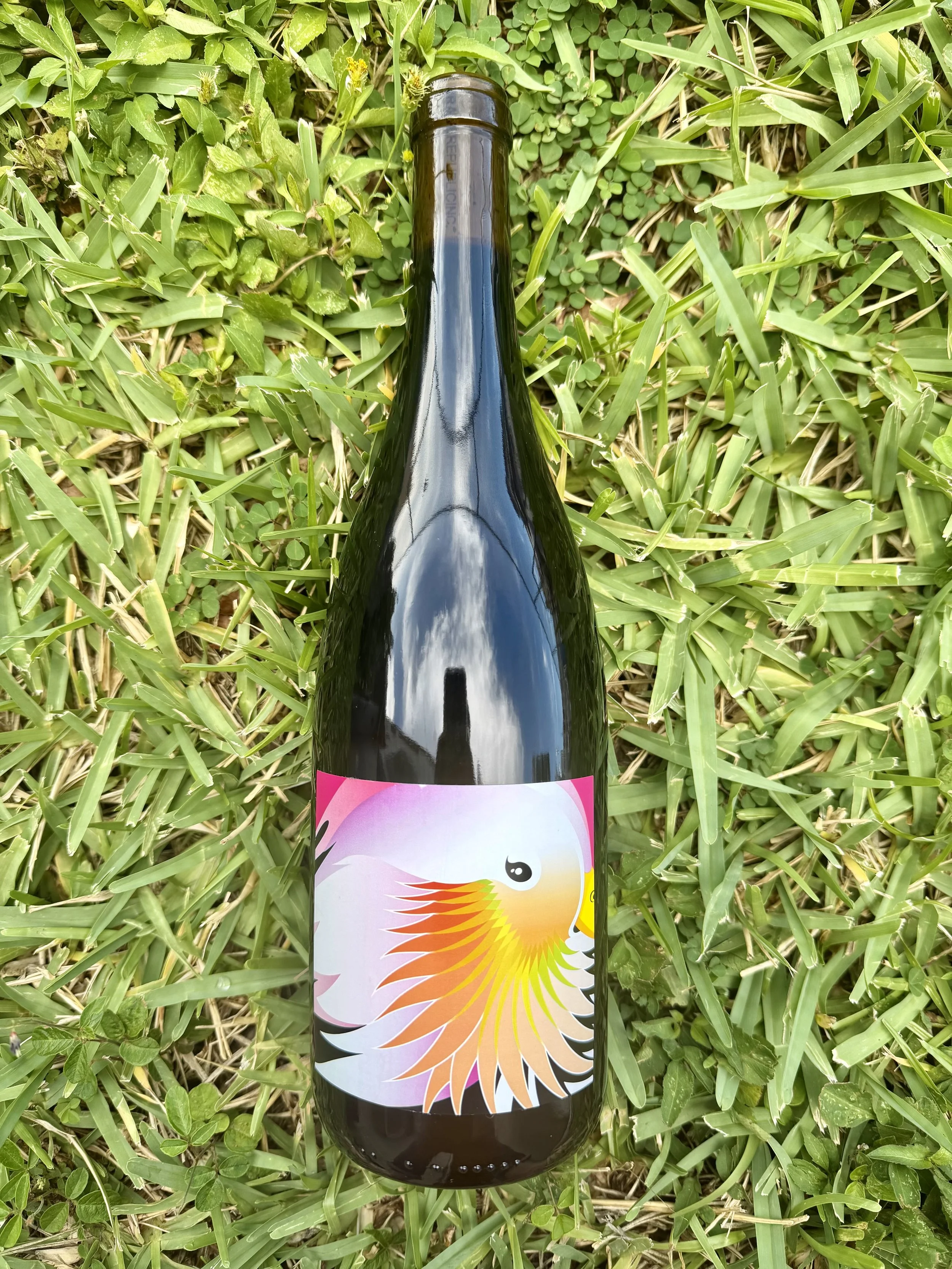 Grape Republic -  Rosso Yamagata Prefecture Red 2023