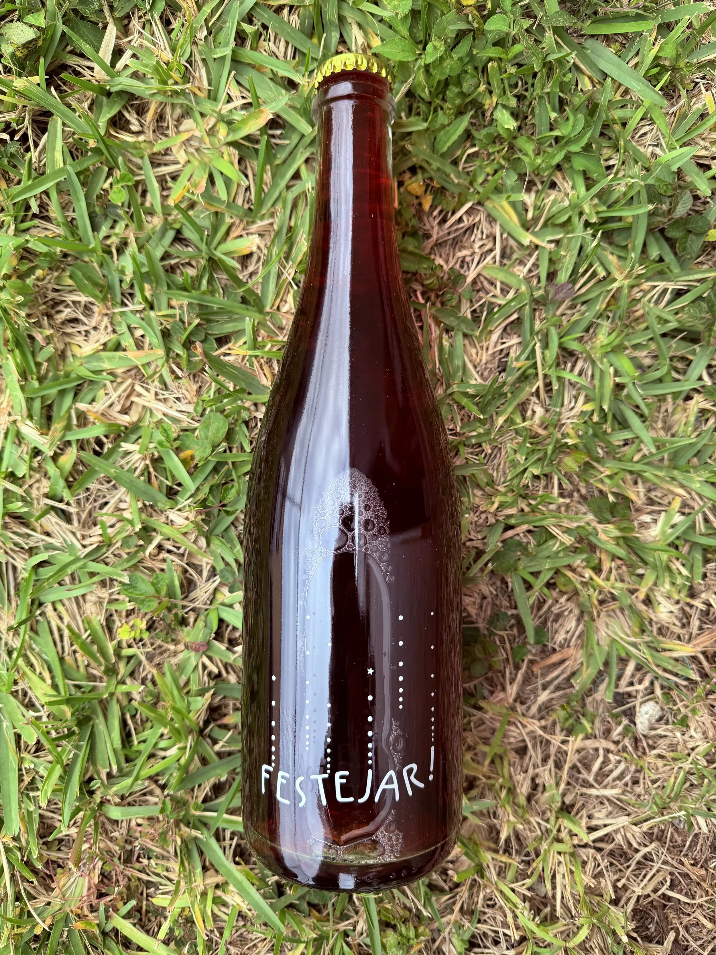 Domaine la Bohème - Festejar! Rosé