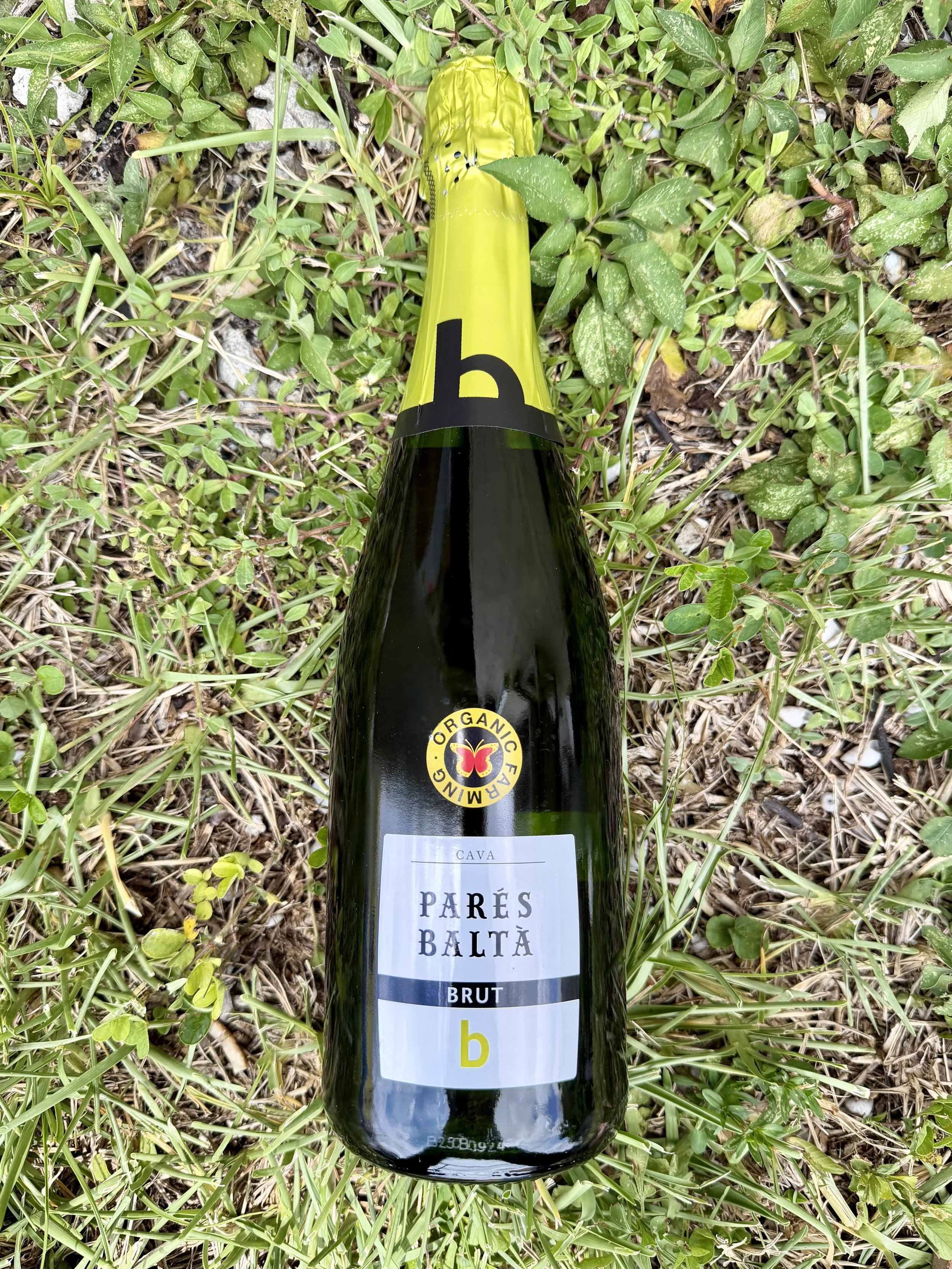 Parés Baltà - Cava Brut