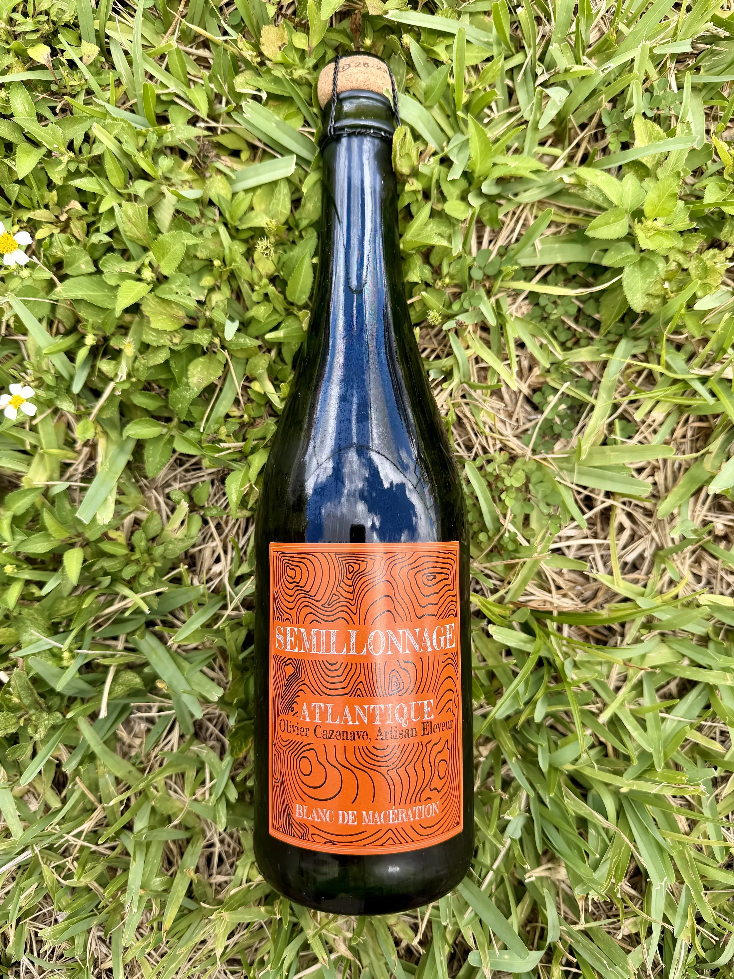 Olivier Cazenave - Semillonnage Orange Sparkling 2023