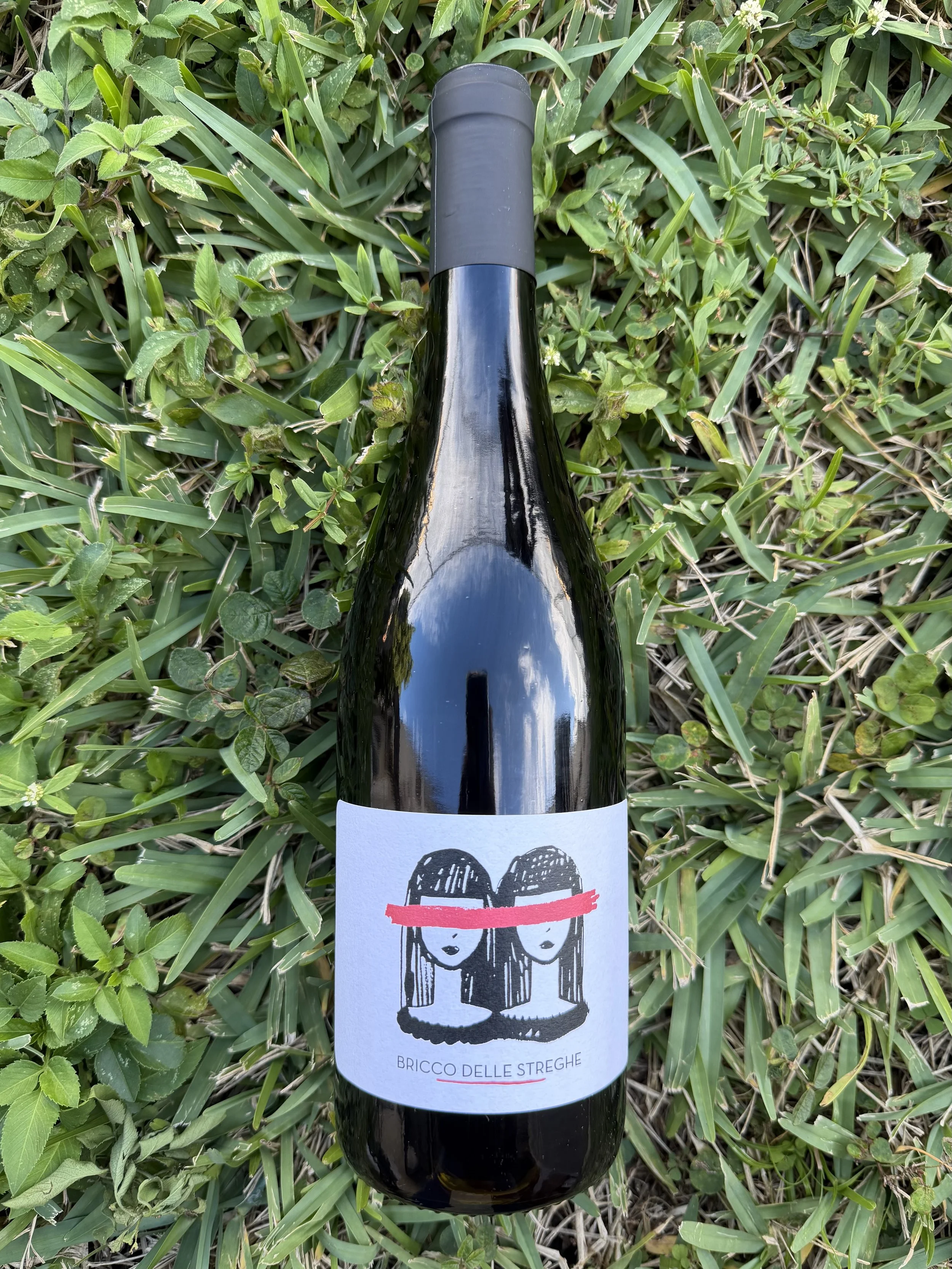 La Morella - Dolcetto Bricco Delle Streghe 2024