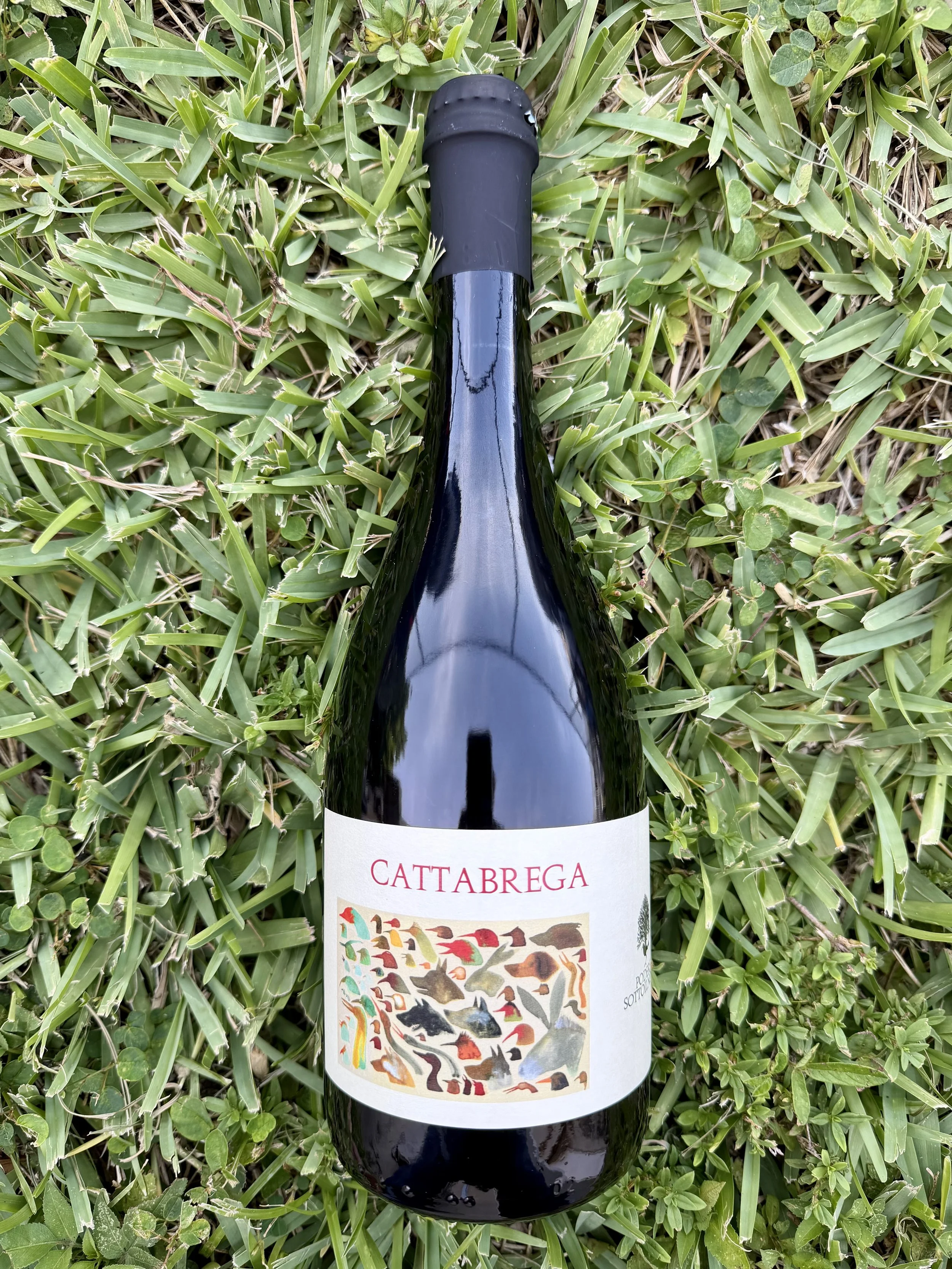 Podere Sottoilnoce - 'Cattabrega' Vino Rosato Frizzante 2024