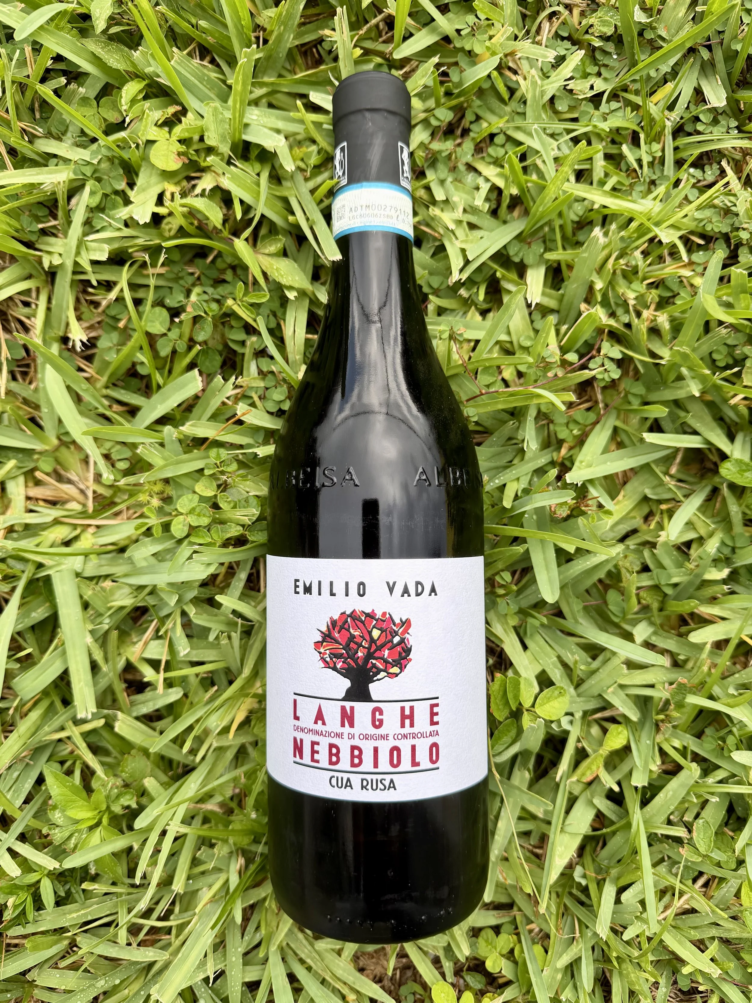 Emilio Vada - 'Cua Rusa' Langhe Nebbiolo DOC 2024