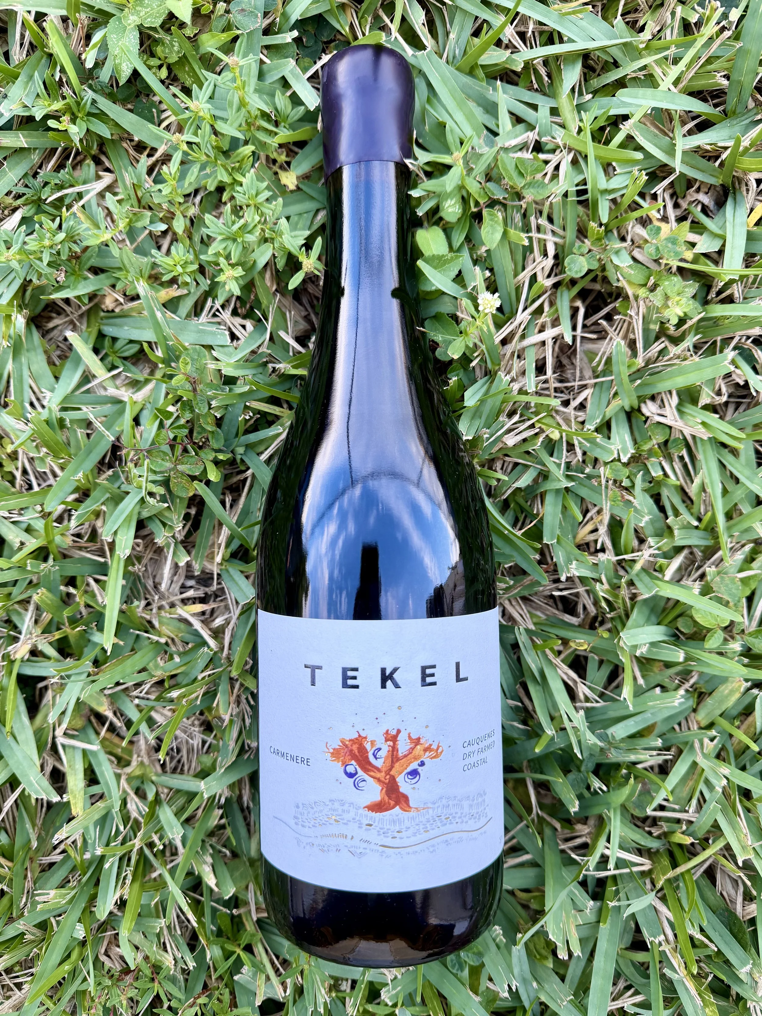 Costa Maule - Tekel Carménère 2022