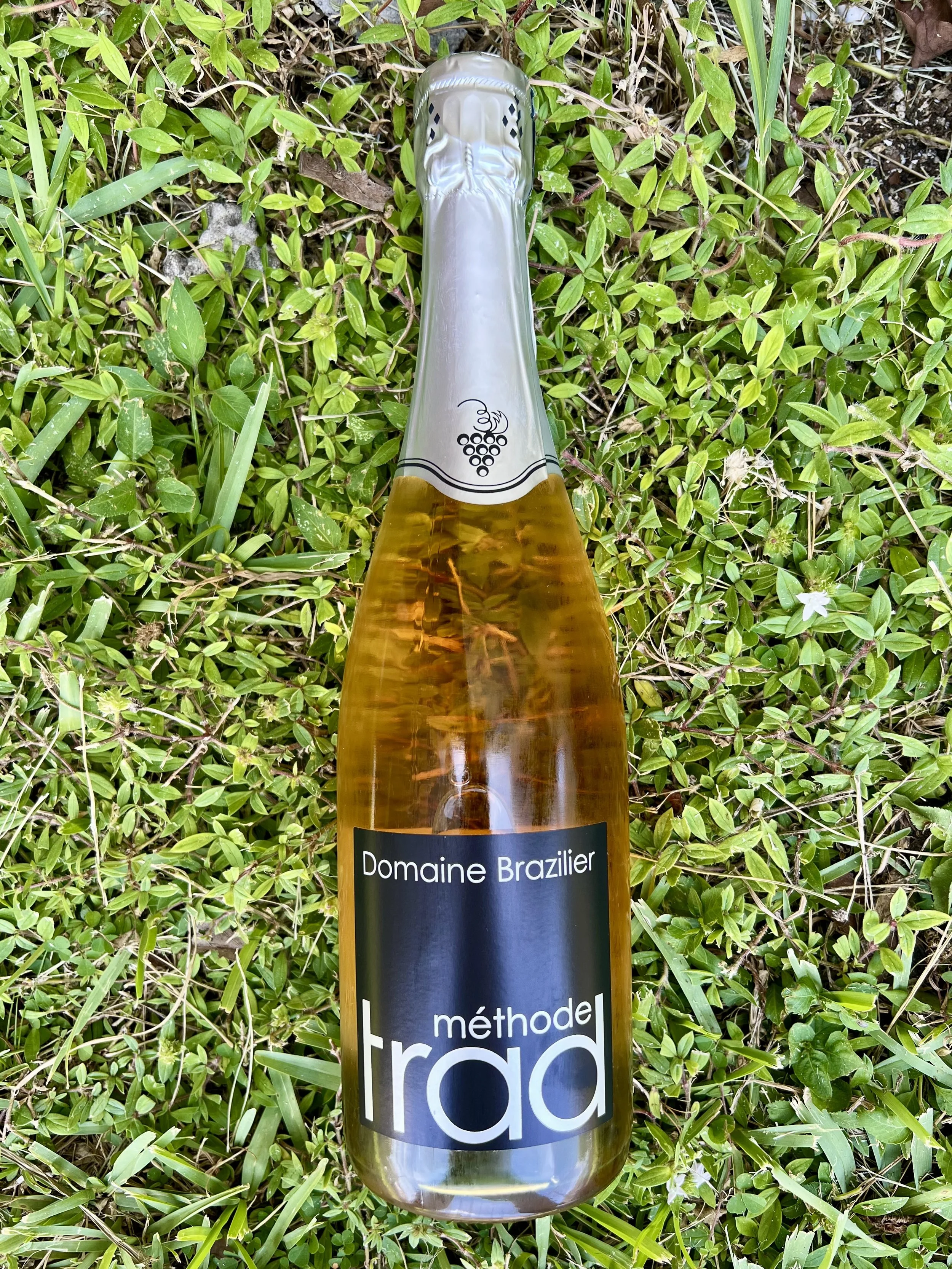 Domaine Brazilier - Methode Trad Brut Rosé