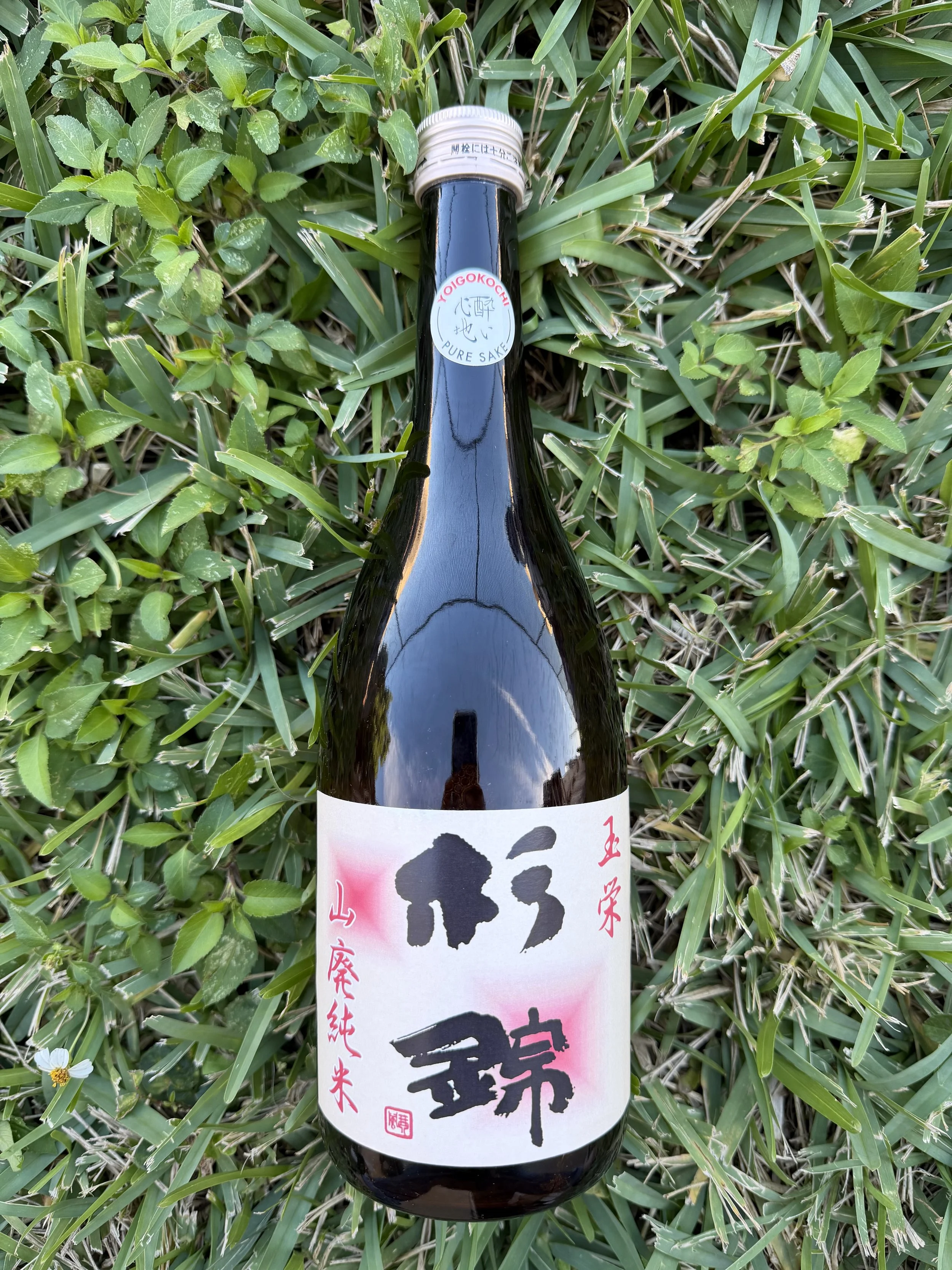 Sugii Shuzo - Suginishki Tamazakae Shizuoka NV