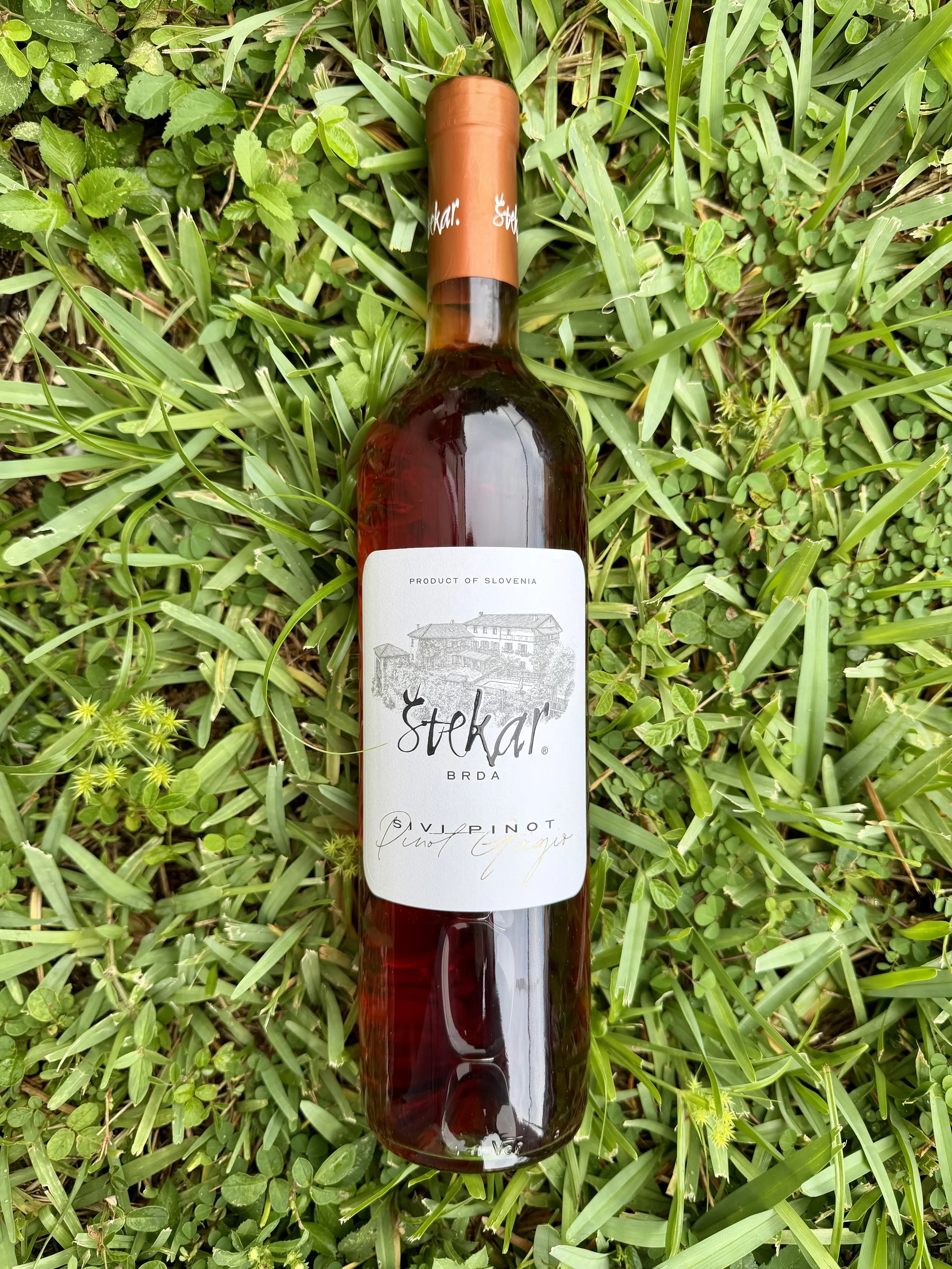 Stekar - Sivi Pinot (Pinot Grigio Skin Contact)